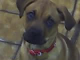 02-11-07_1606.jpg