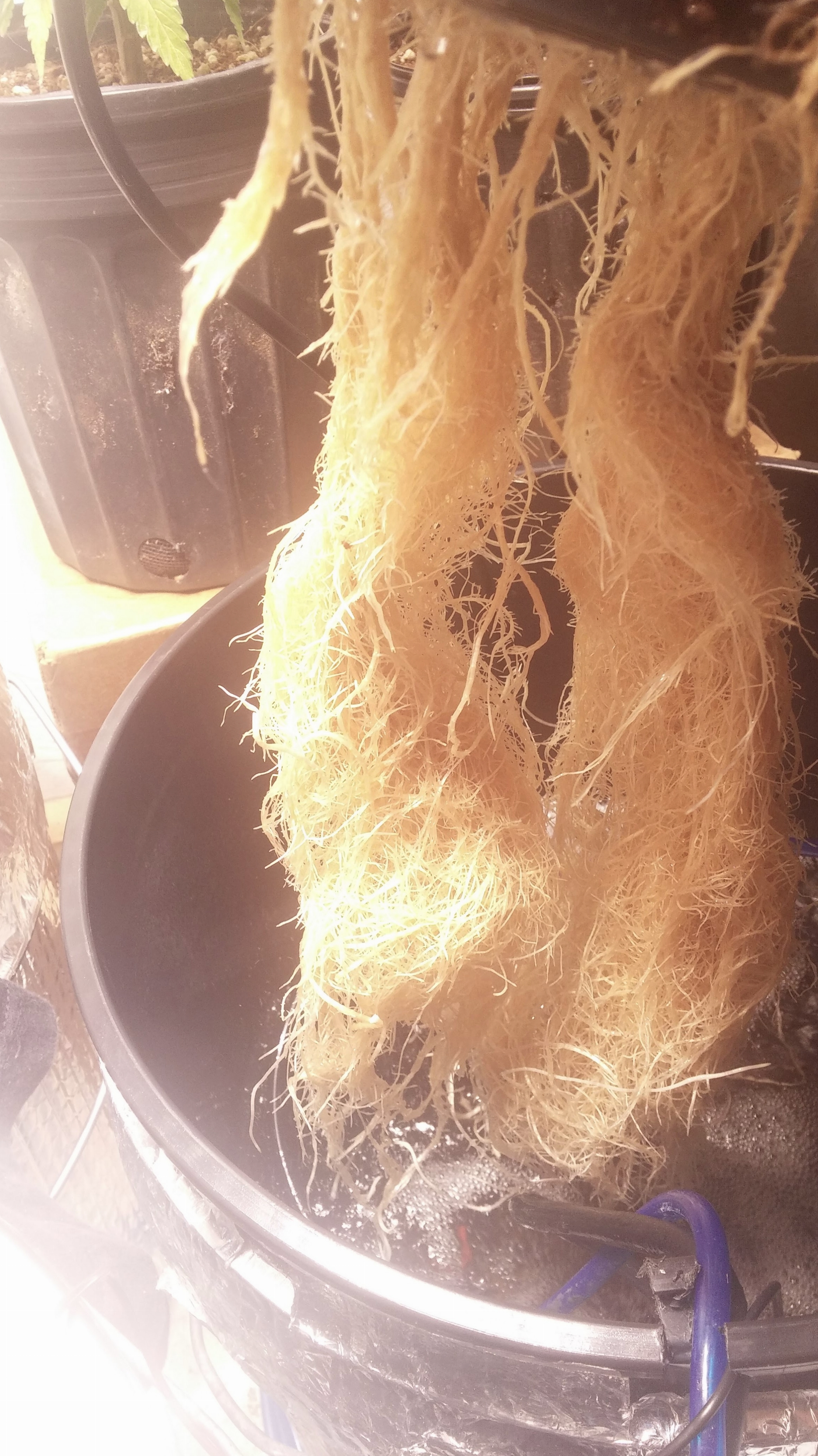 0618172133_HDR.jpg