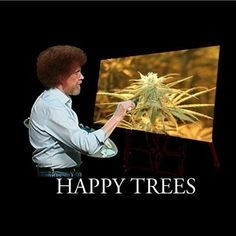0e733a99d0148a8e6ee1013ad09dcb44--medical-marijuana-cannabis.jpg