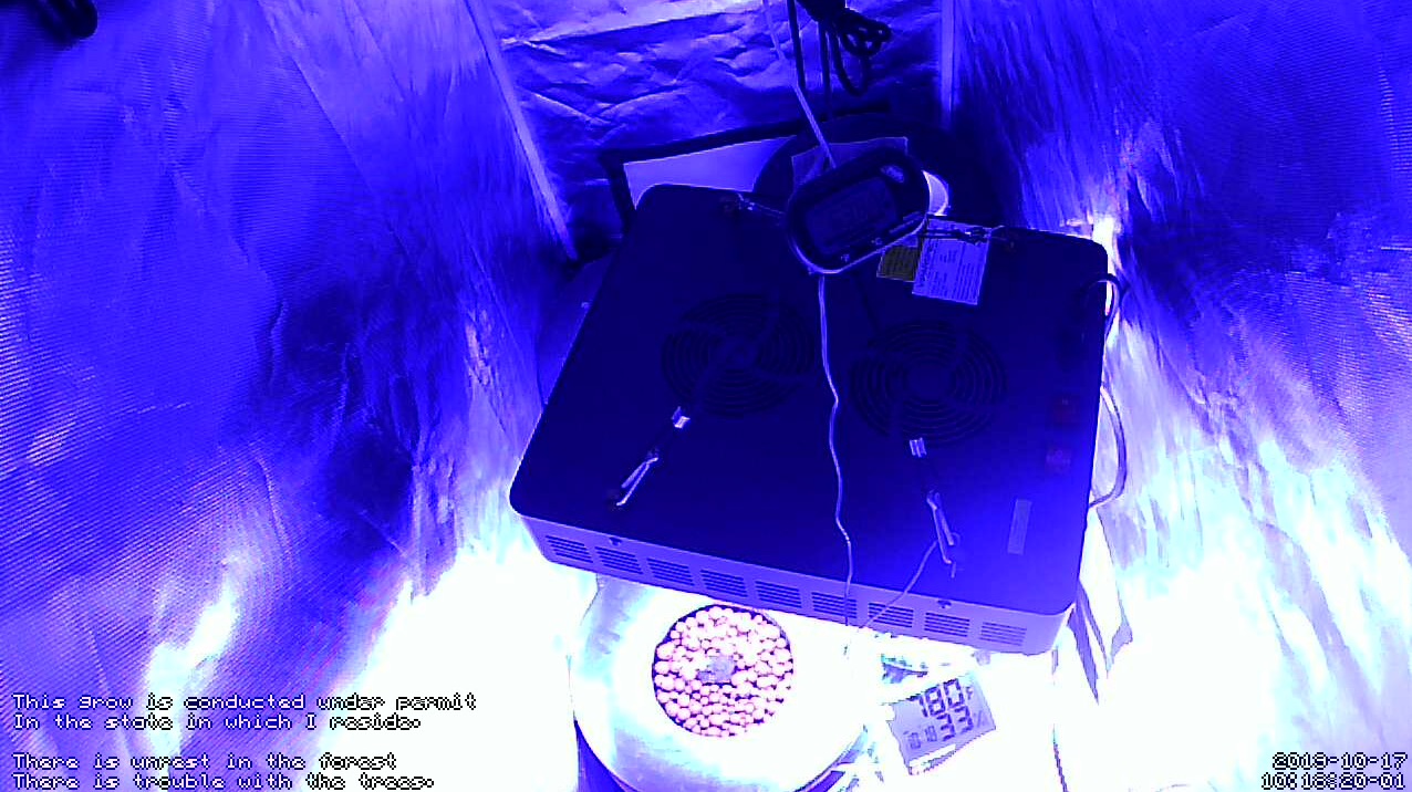 10-17-19 Screenshot_20191017_101853.png