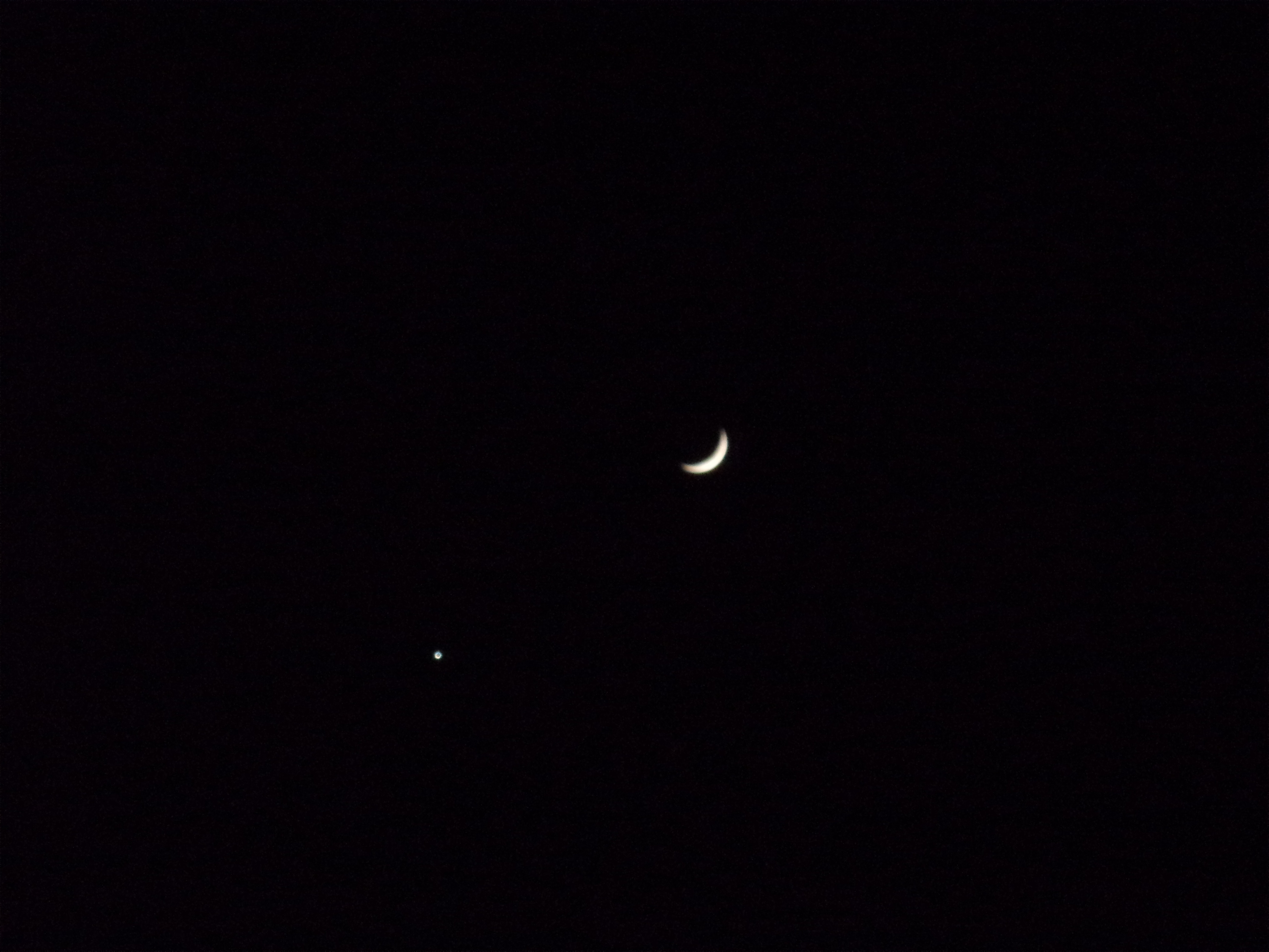 100_0339.jpg