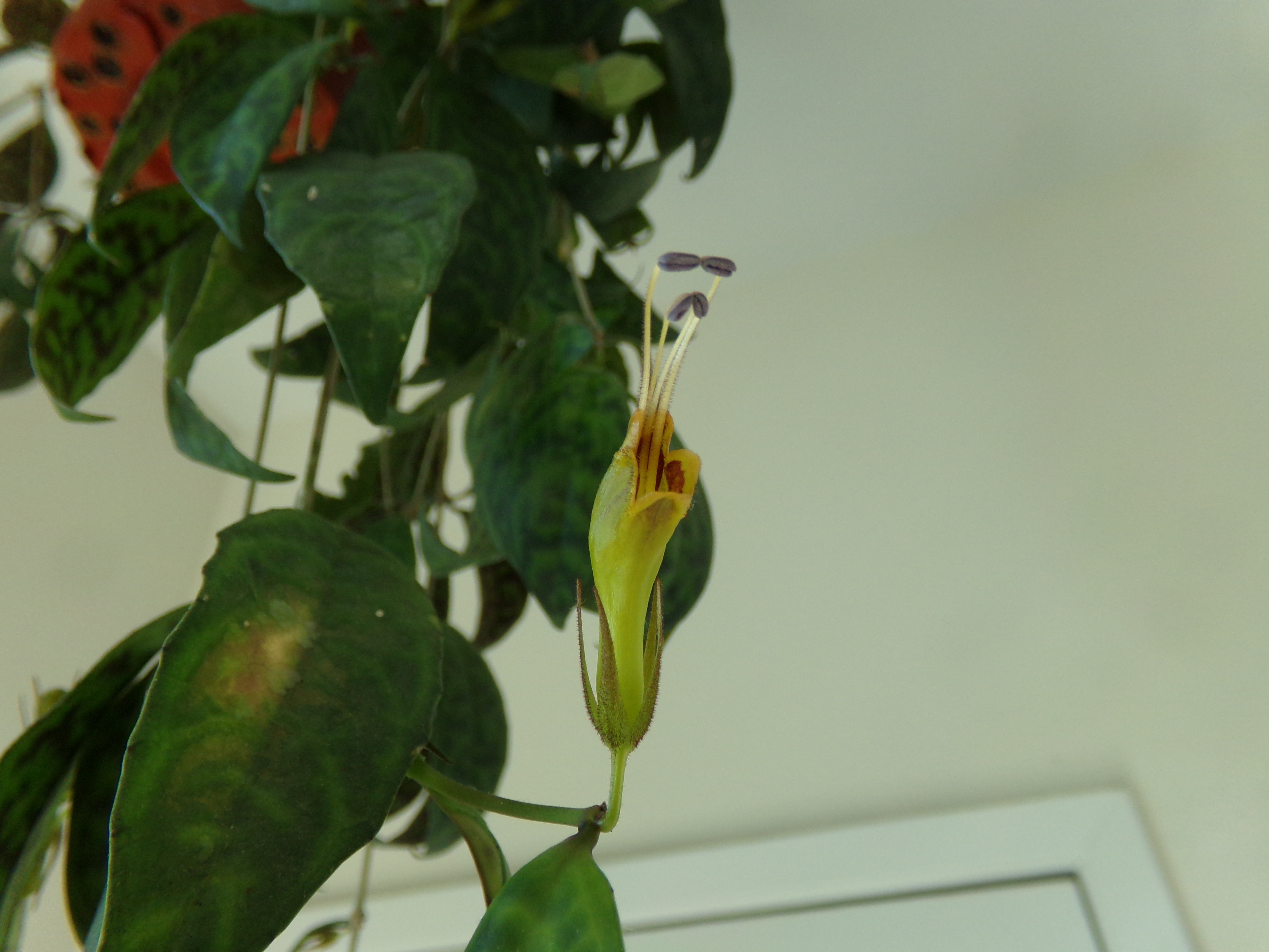 100_0441.jpg