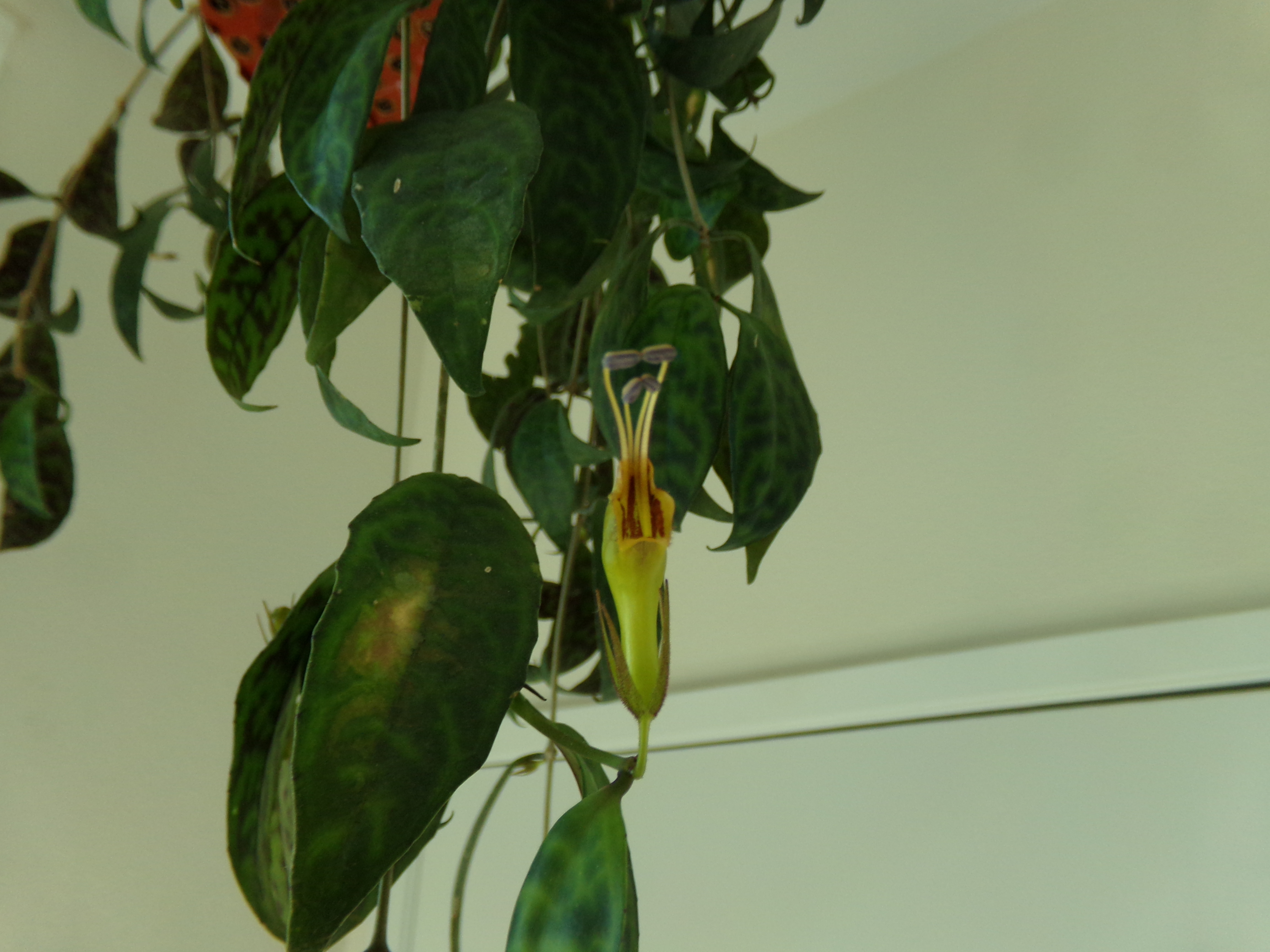 100_0442.jpg
