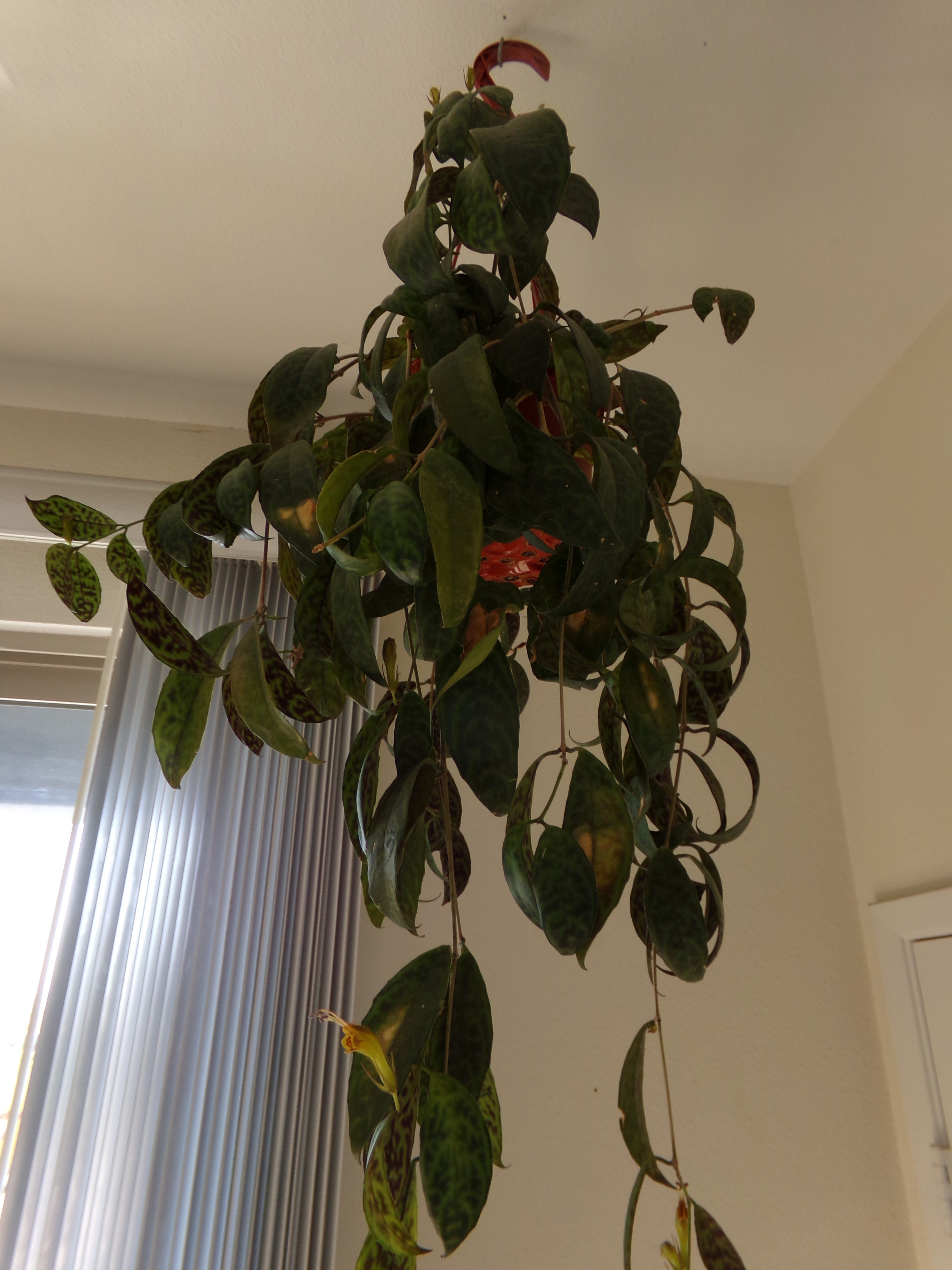 100_0443.jpg