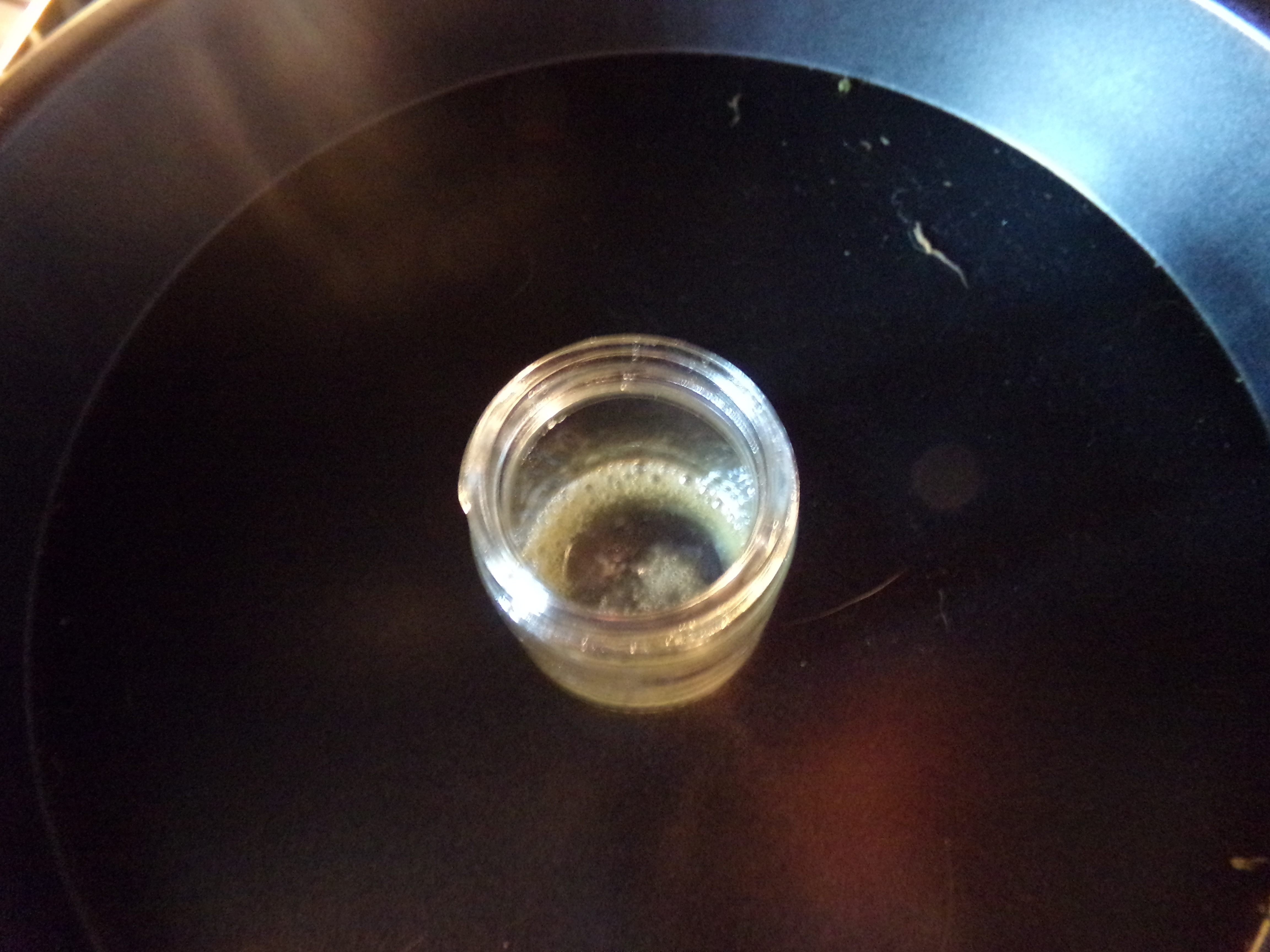 100_0870.jpg