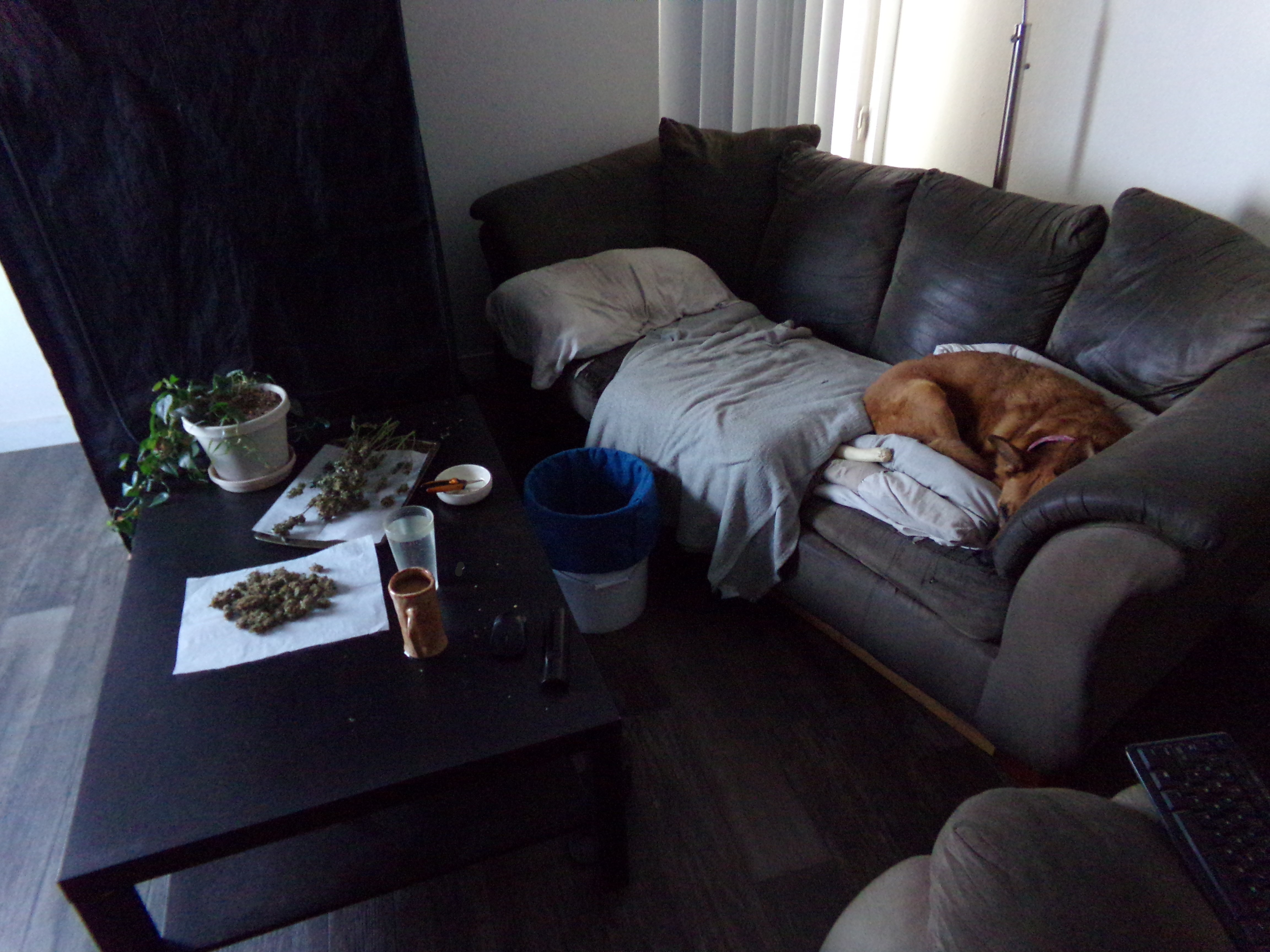 100_0948.jpg
