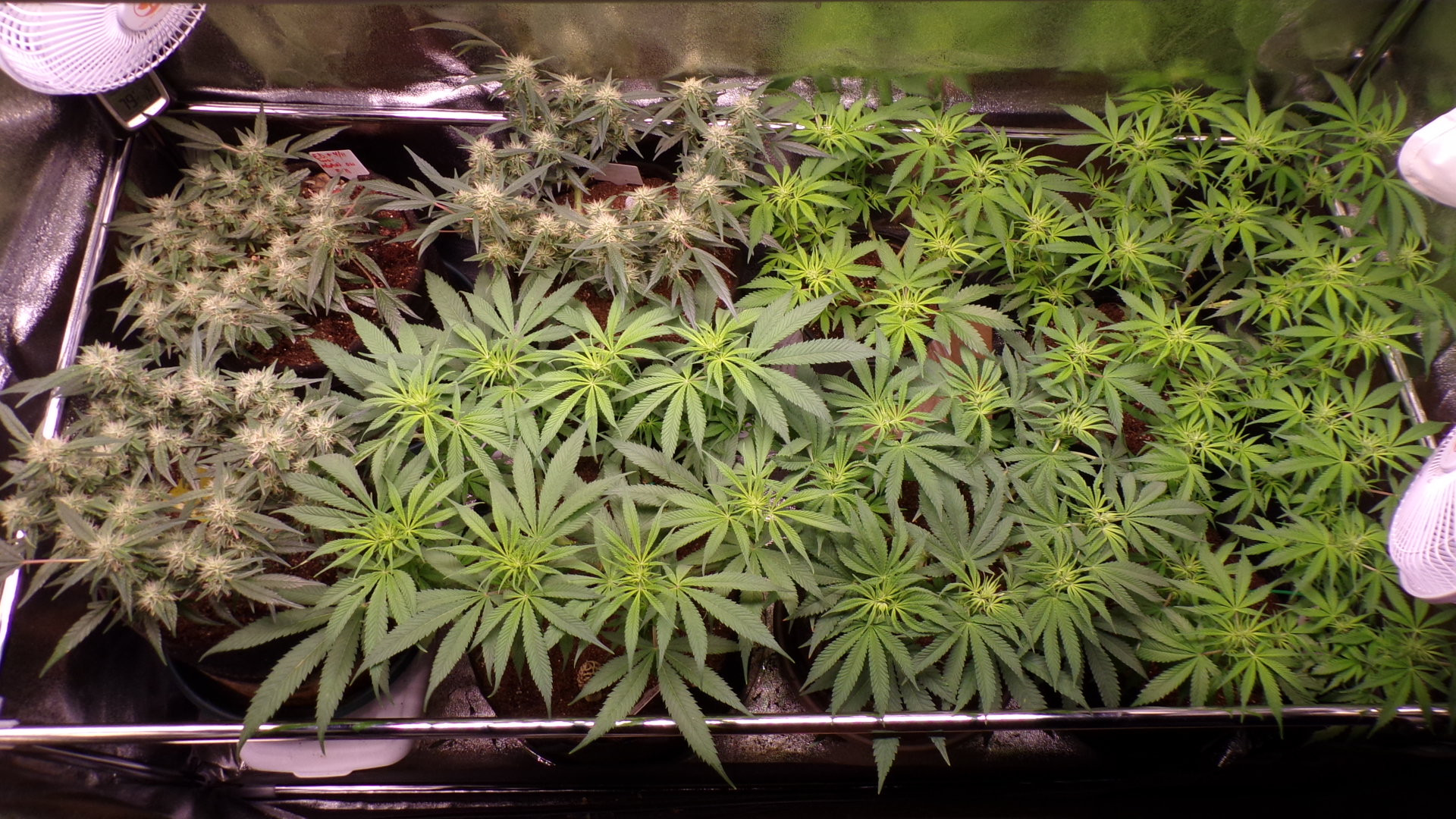 101_0295.JPG