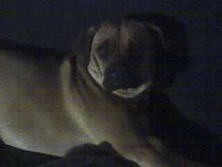 12-31-07_0009.jpg