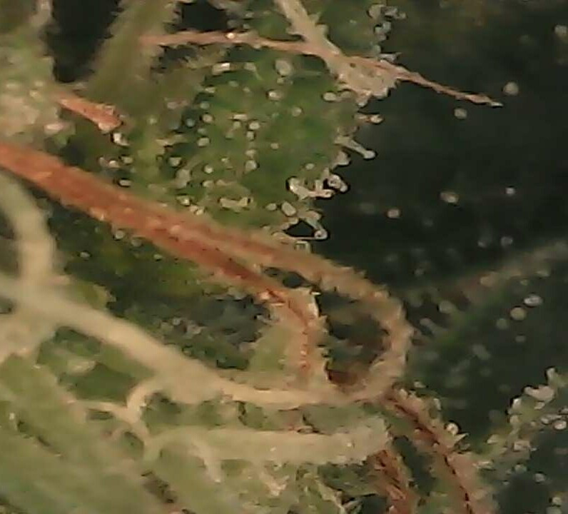 1695241353781~2.jpg