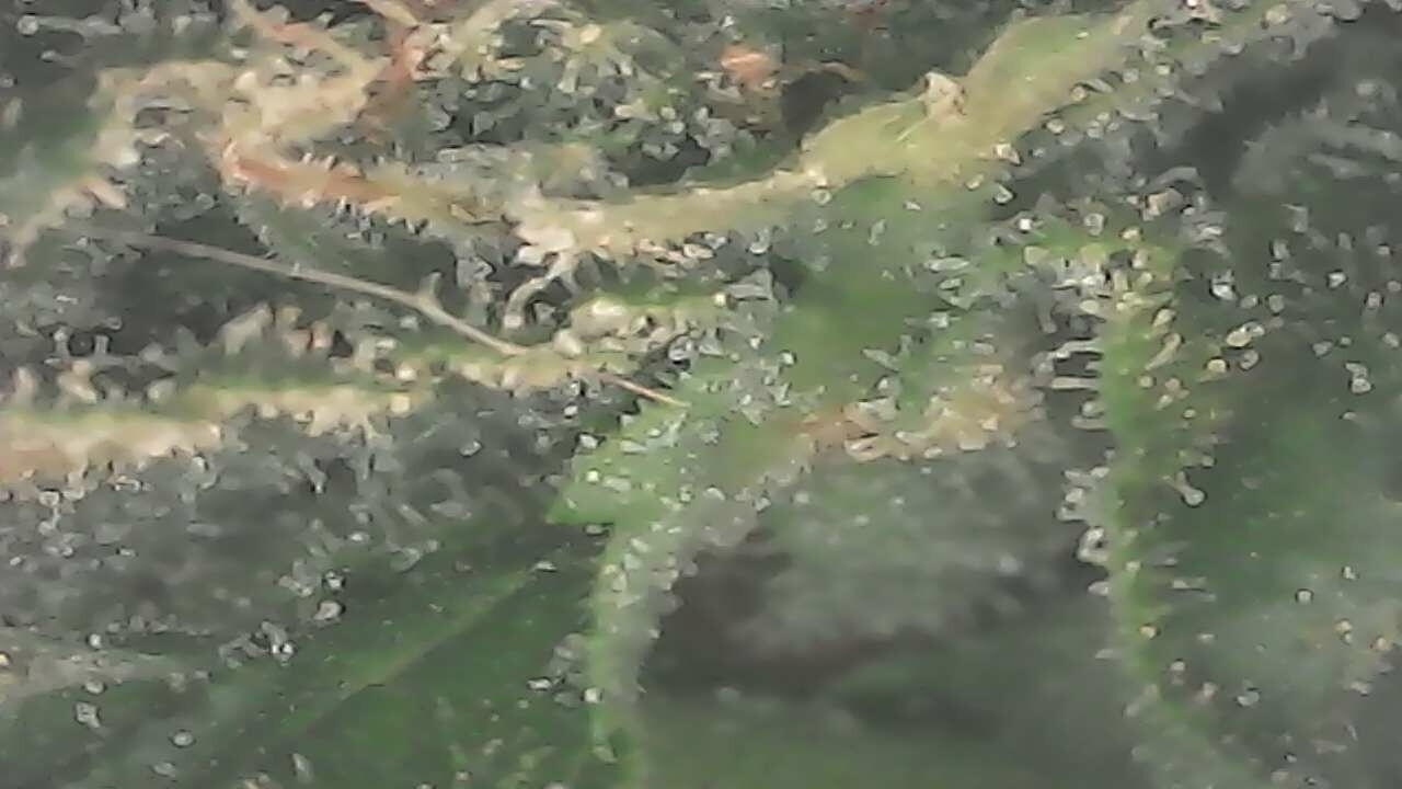 1695241551533.jpg