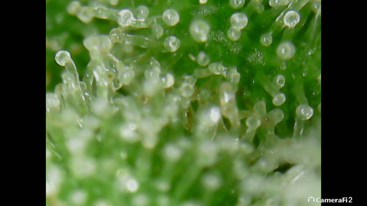 171018_193719.jpg