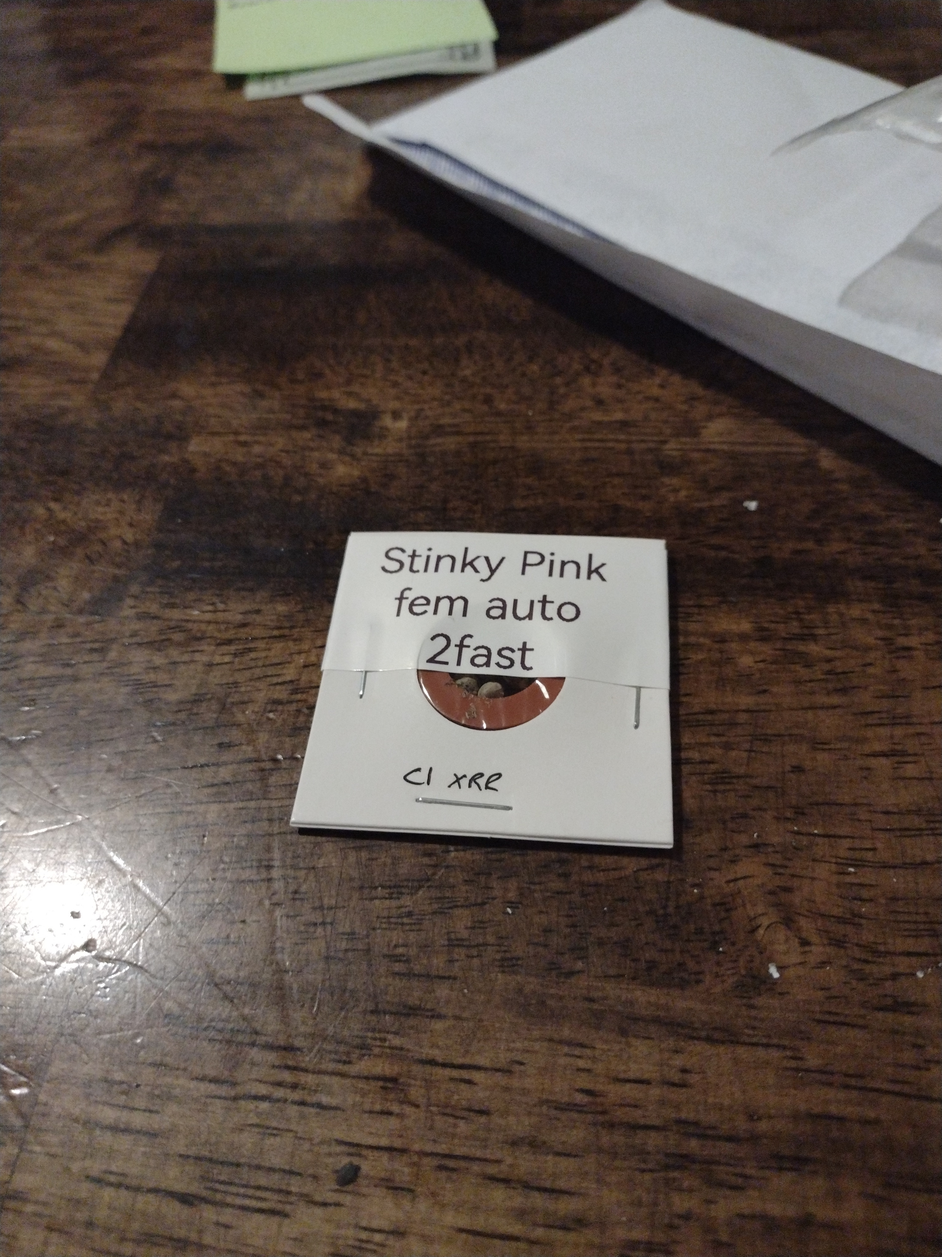 17349929125125225984624560646038.jpg