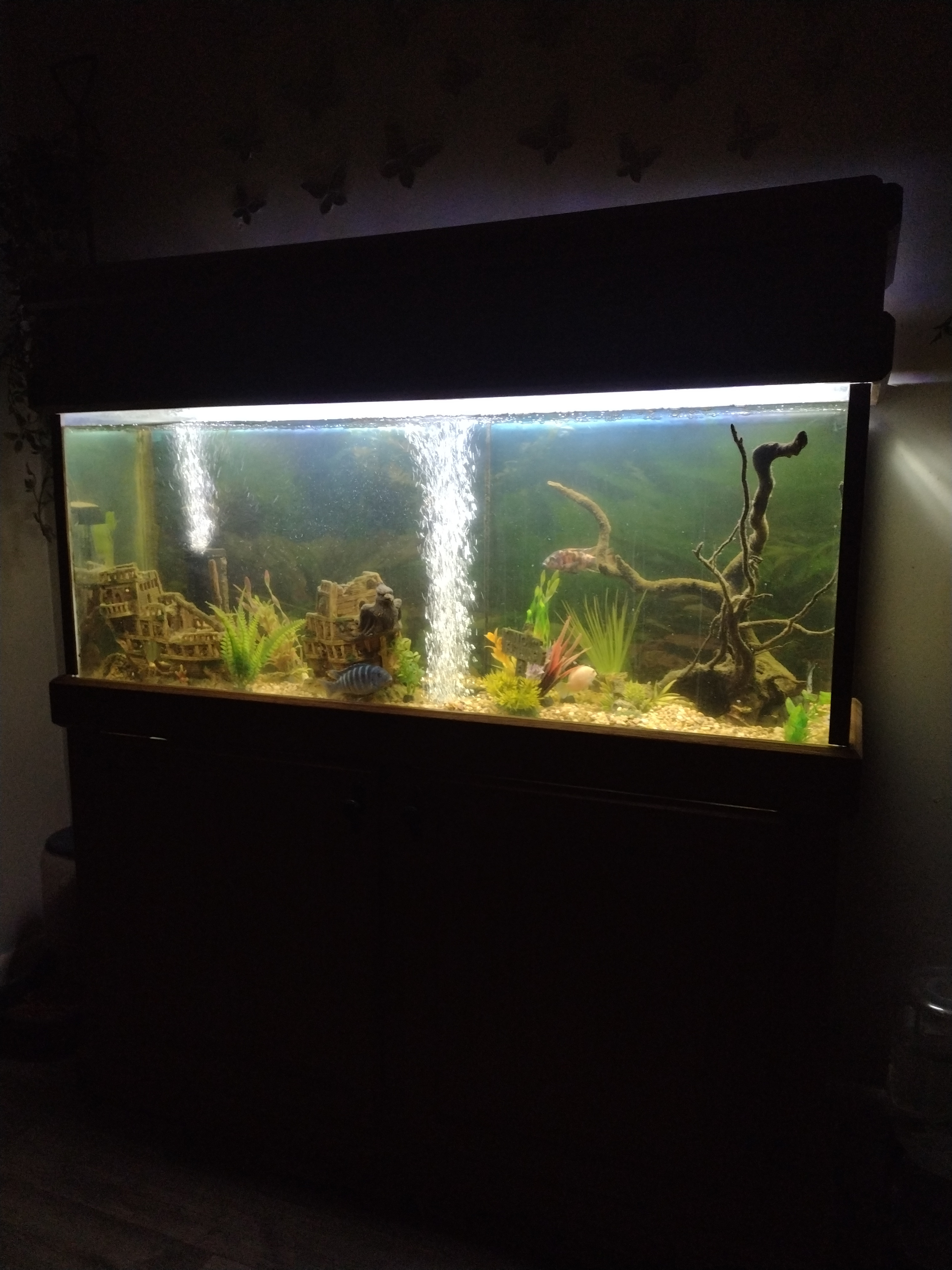 17725020863766647150982568121242.jpg