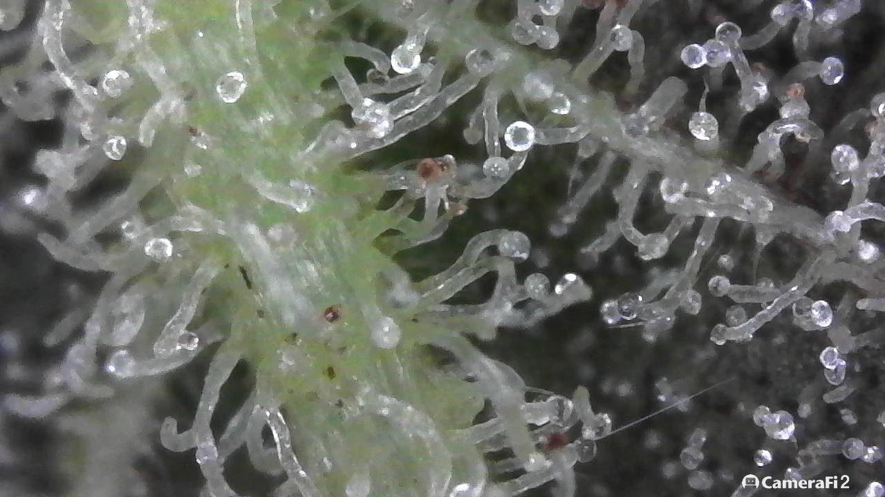 190502_005707.jpg