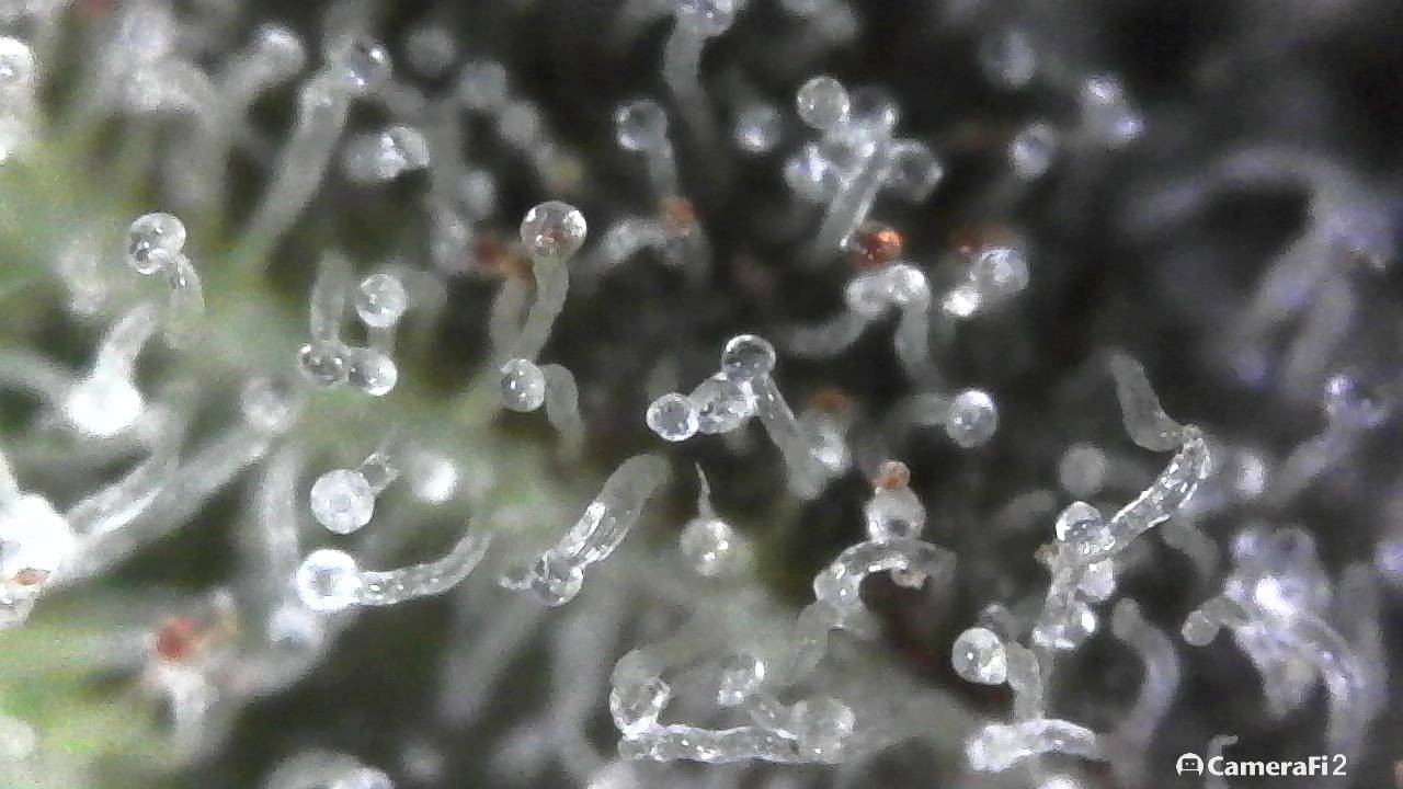 190502_005735.jpg