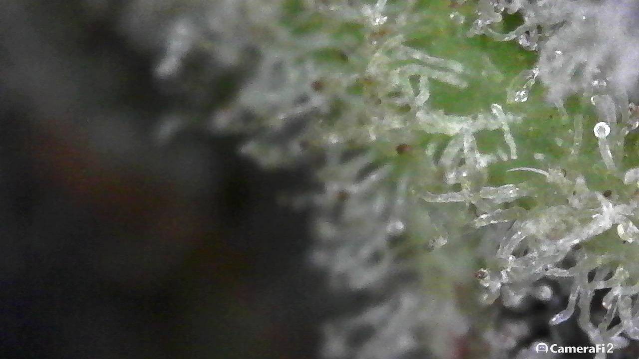 190502_010140.jpg