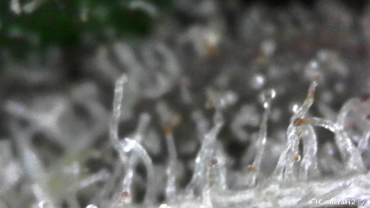 190502_010710.jpg