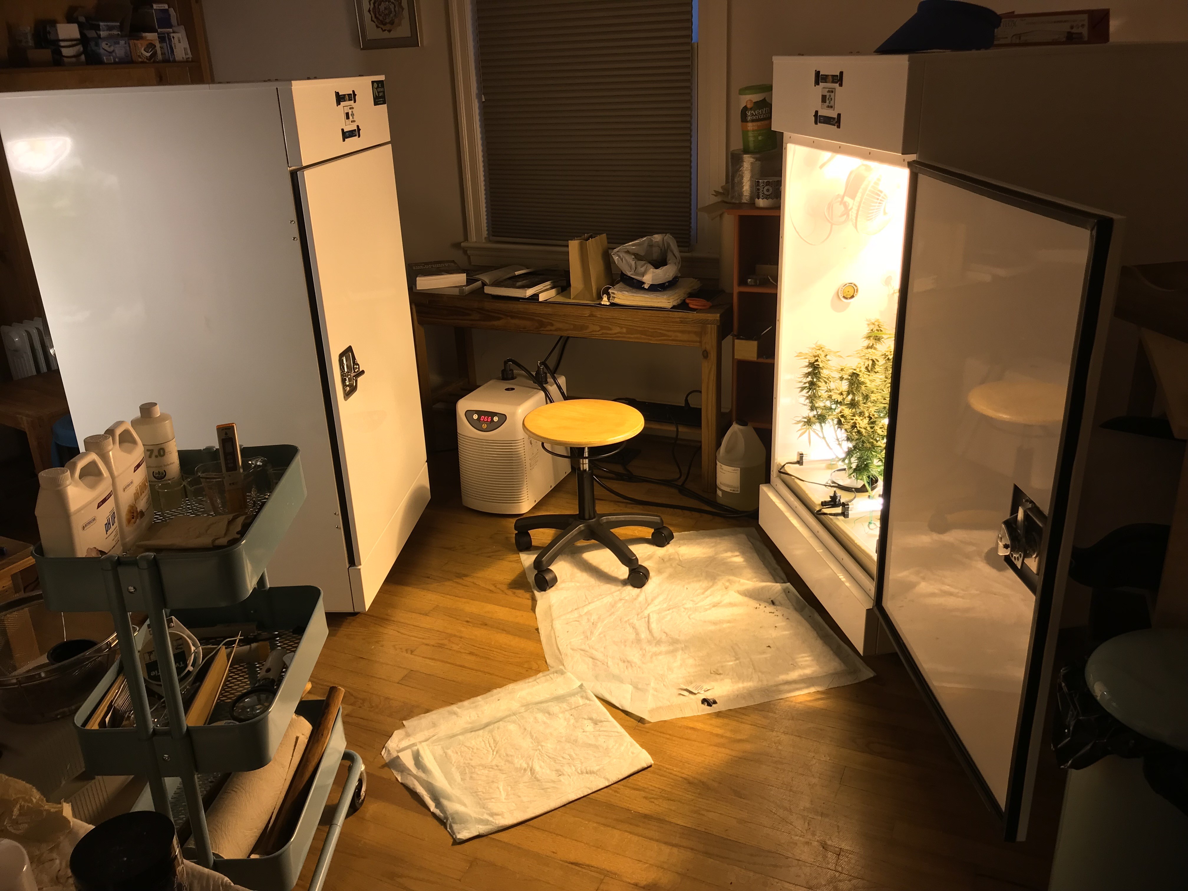 2 roomies.JPG