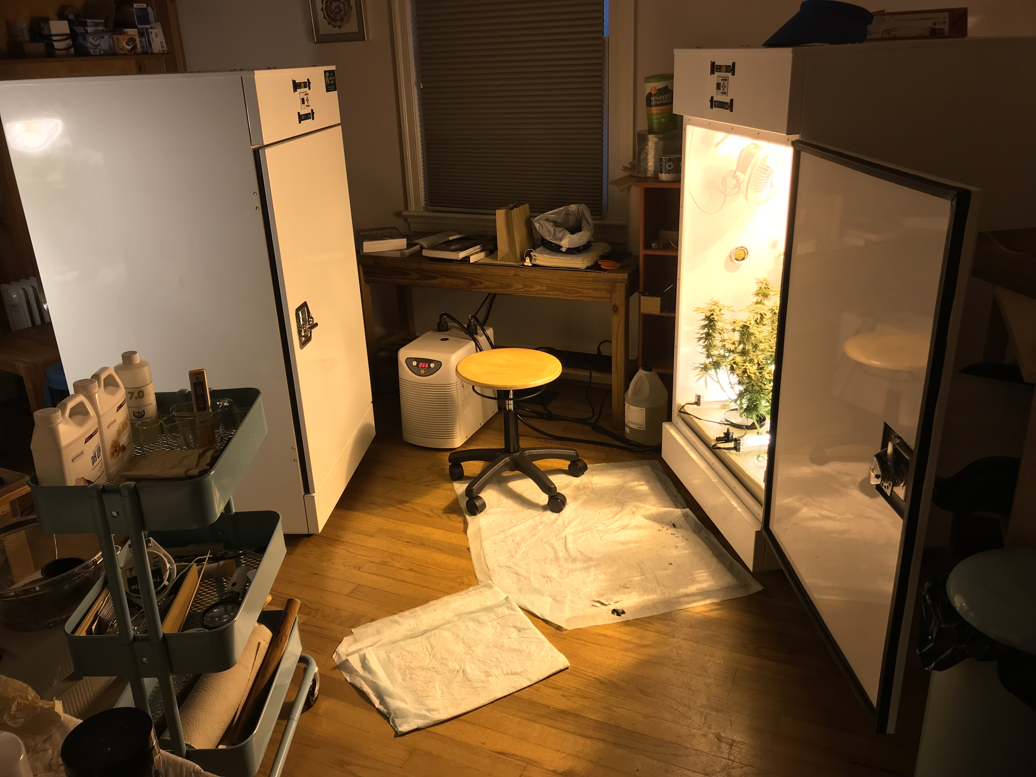 2 roomies.JPG