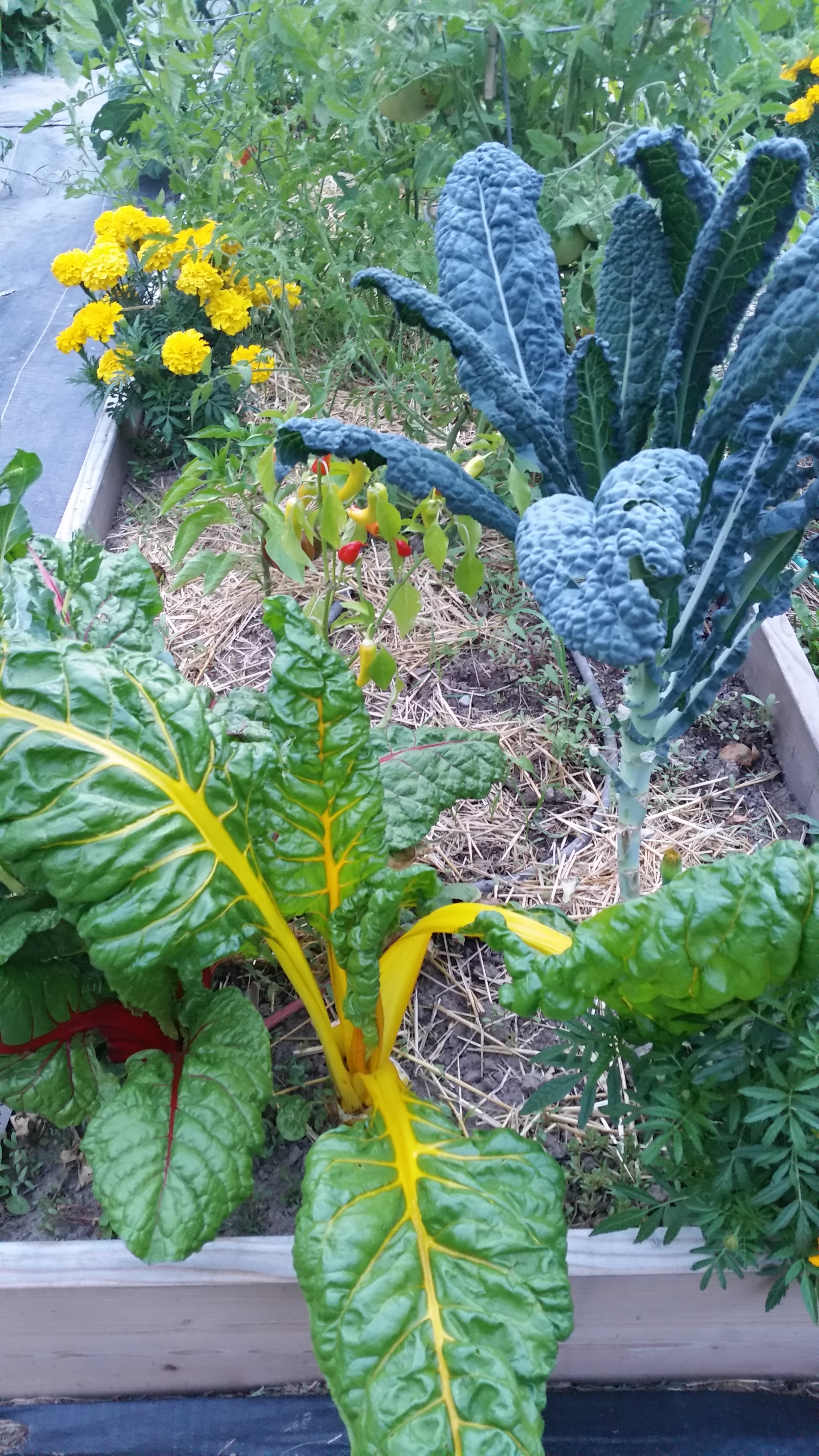 20160825_202735.jpg
