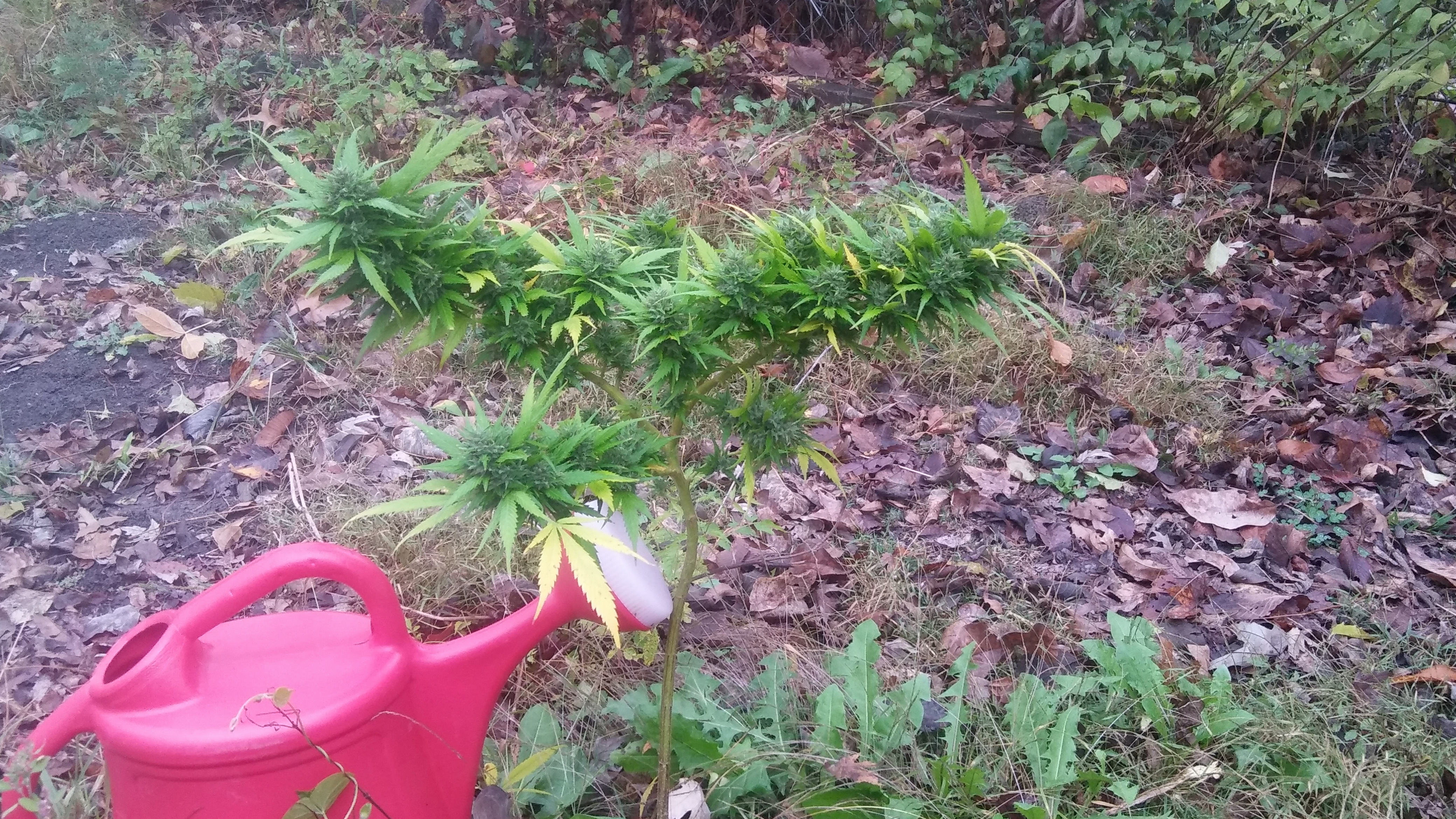 20161103_103436.jpg