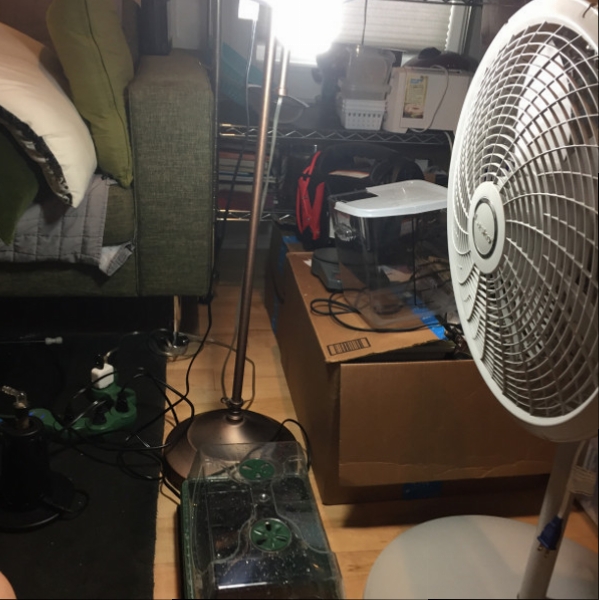 2017-06-16 Final.JPG