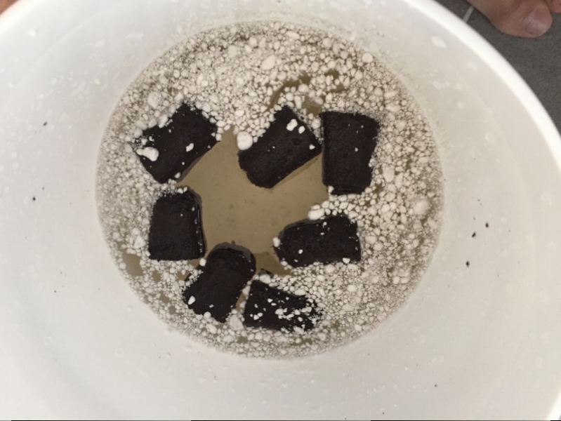 2017-06-16 Rapid Rooters & Perlite soaking.JPG