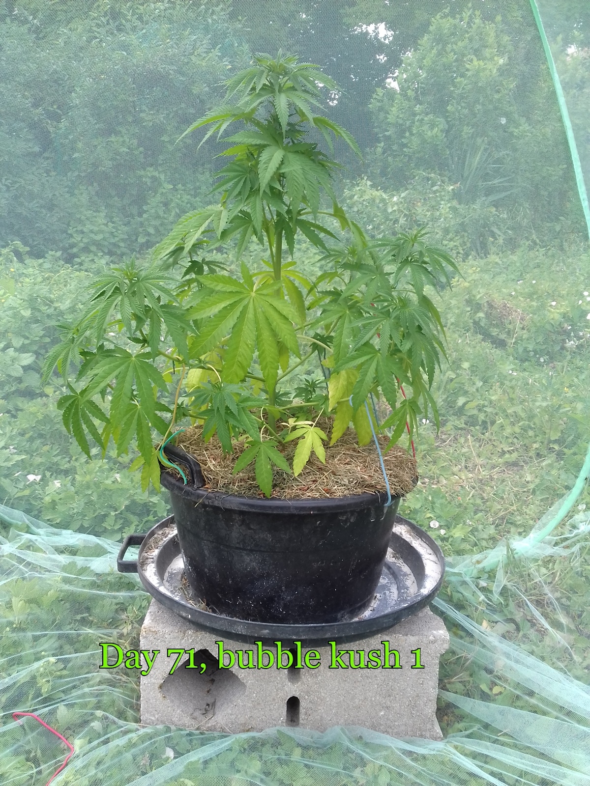 2017-06-25-13-28-14.jpg