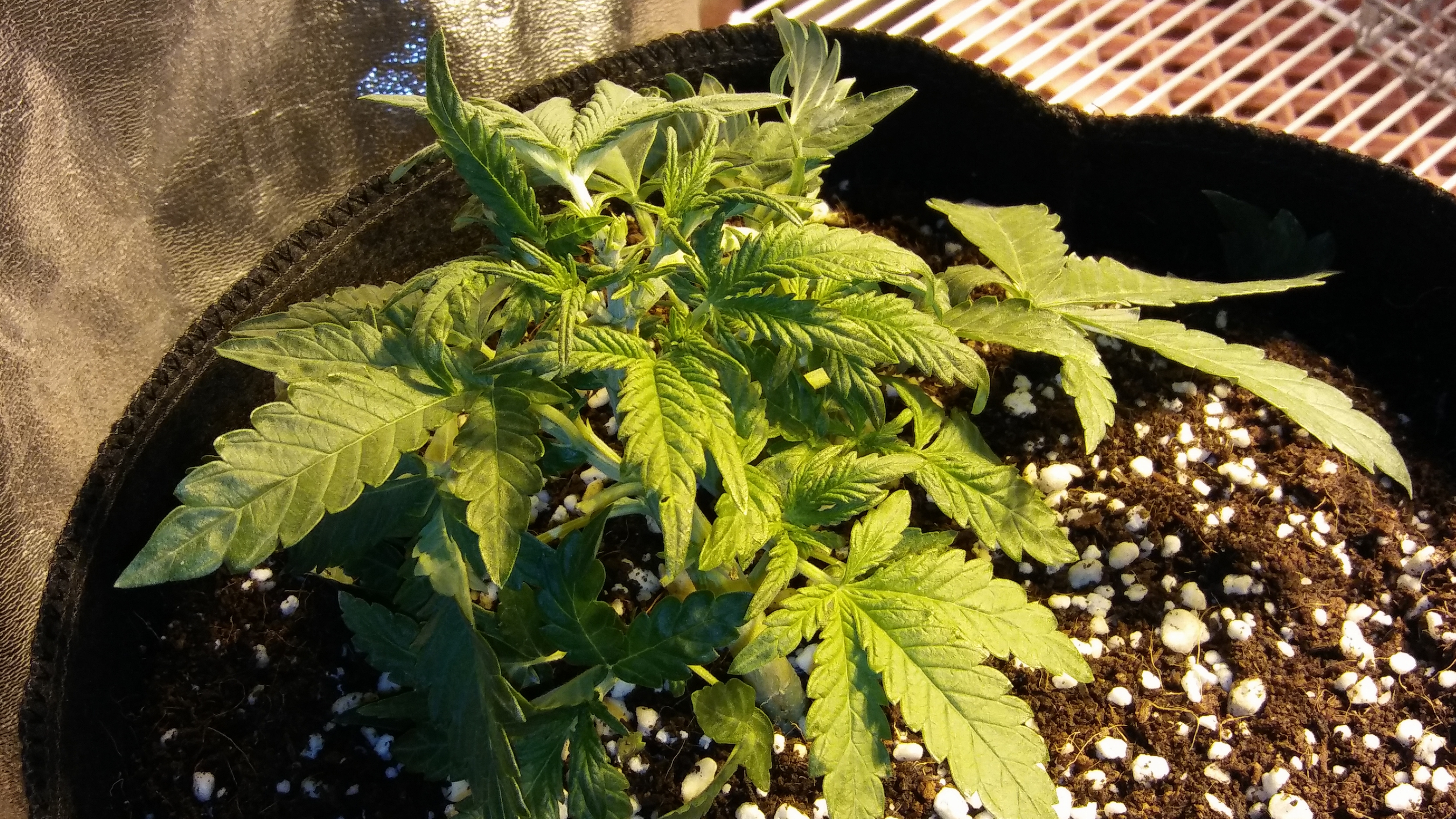 20170111_204928.jpg