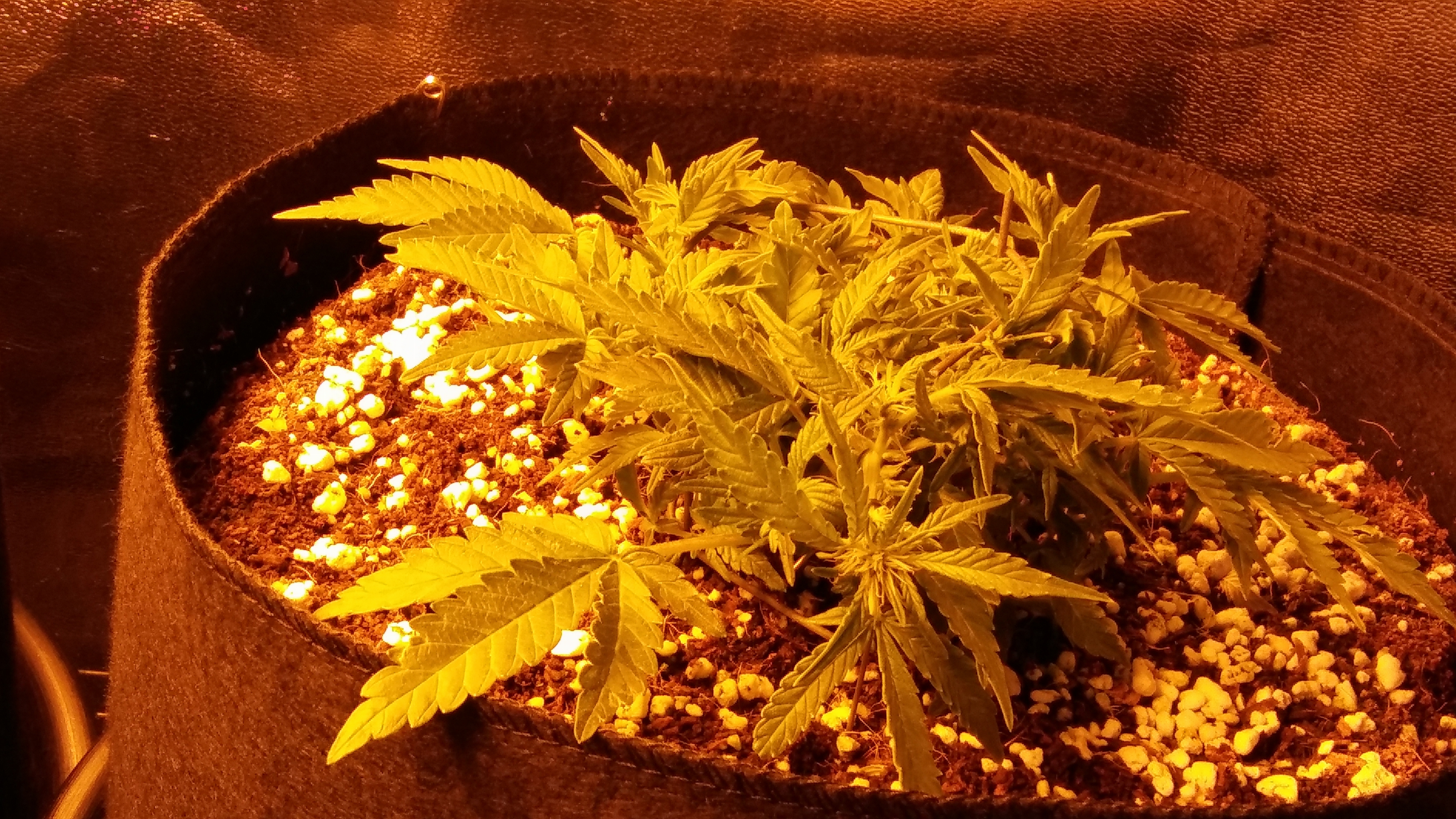 20170111_205134.jpg