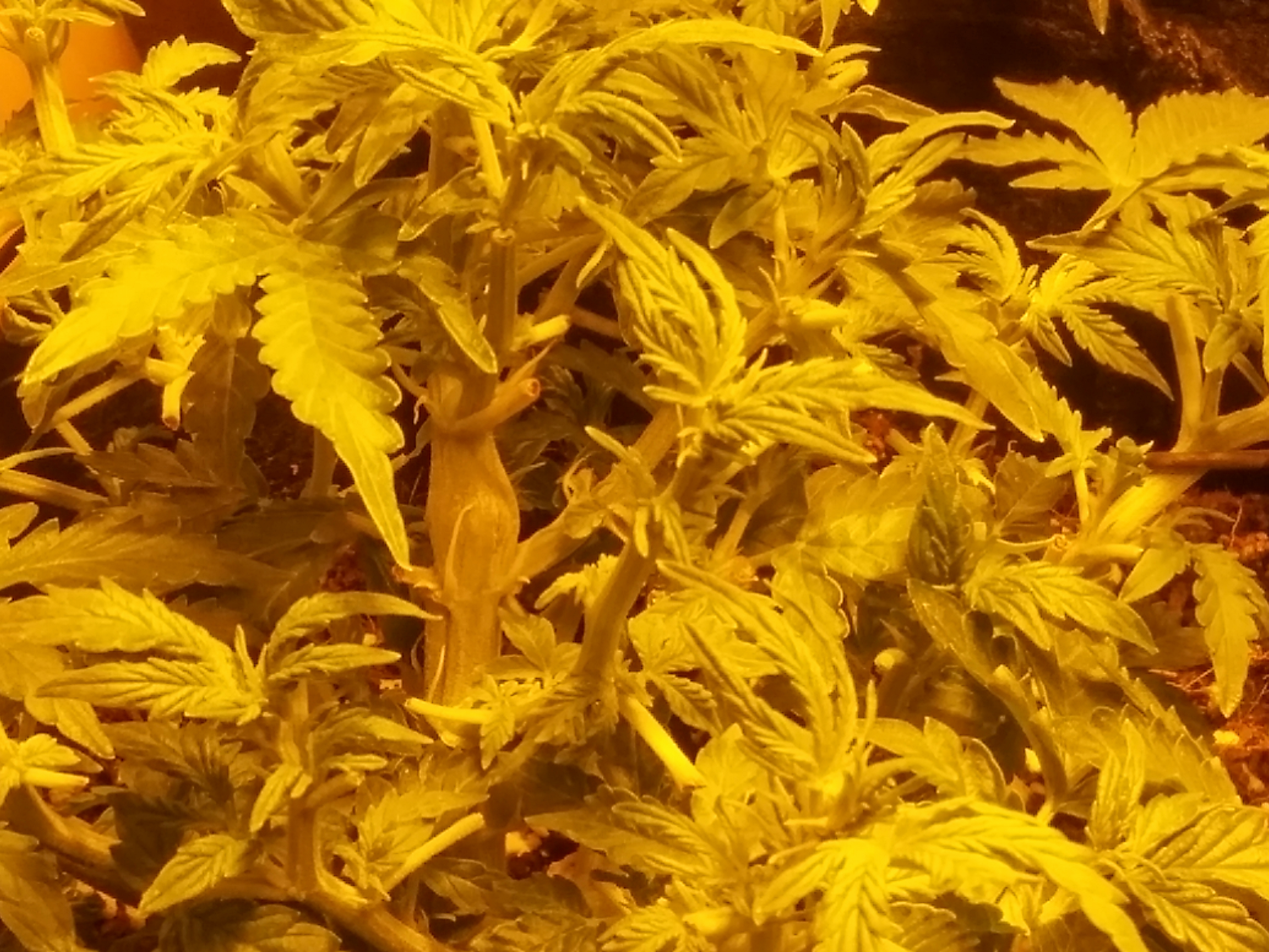20170209_080030_HDR.jpg