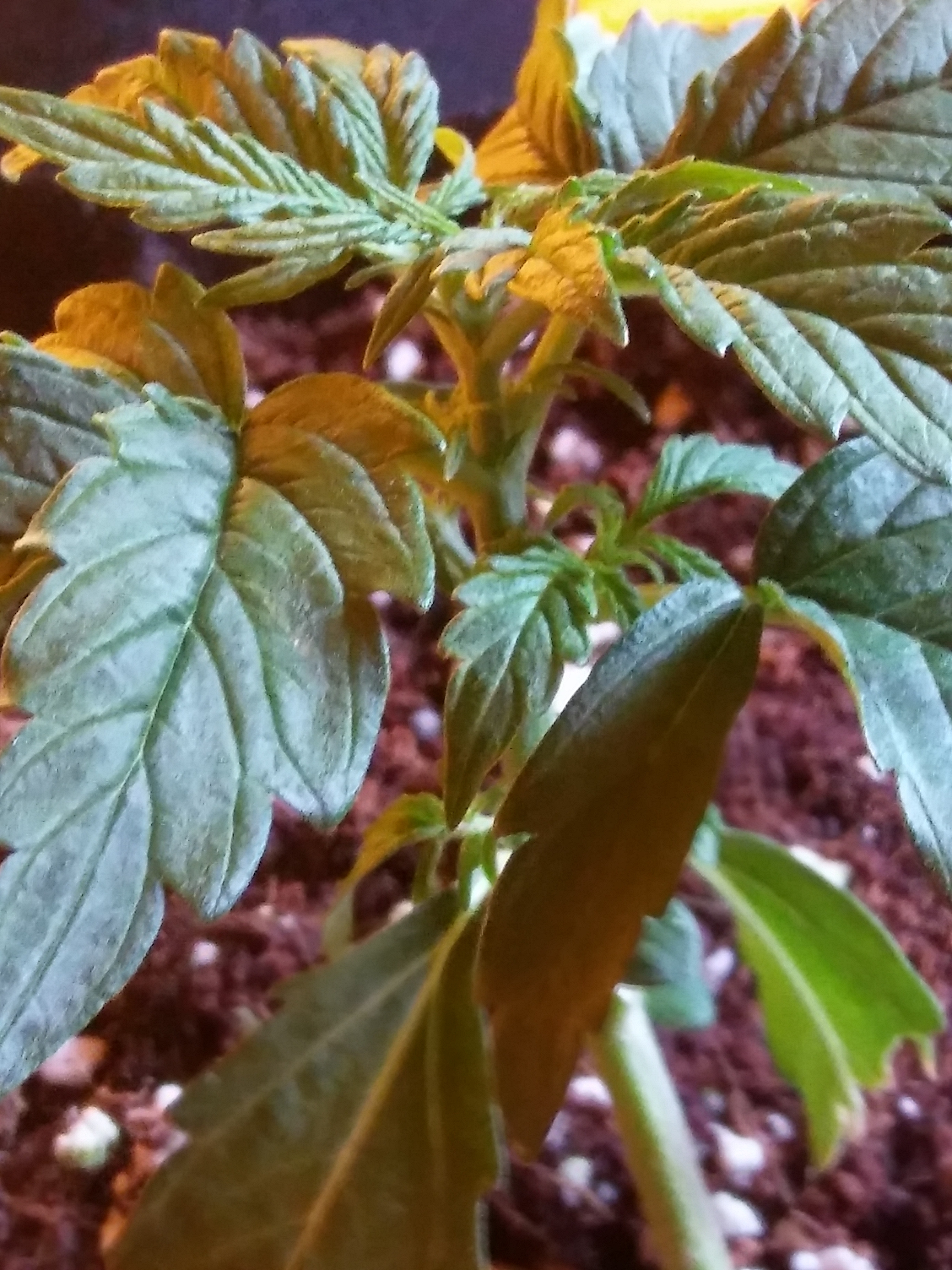 20170211_073914_HDR.jpg