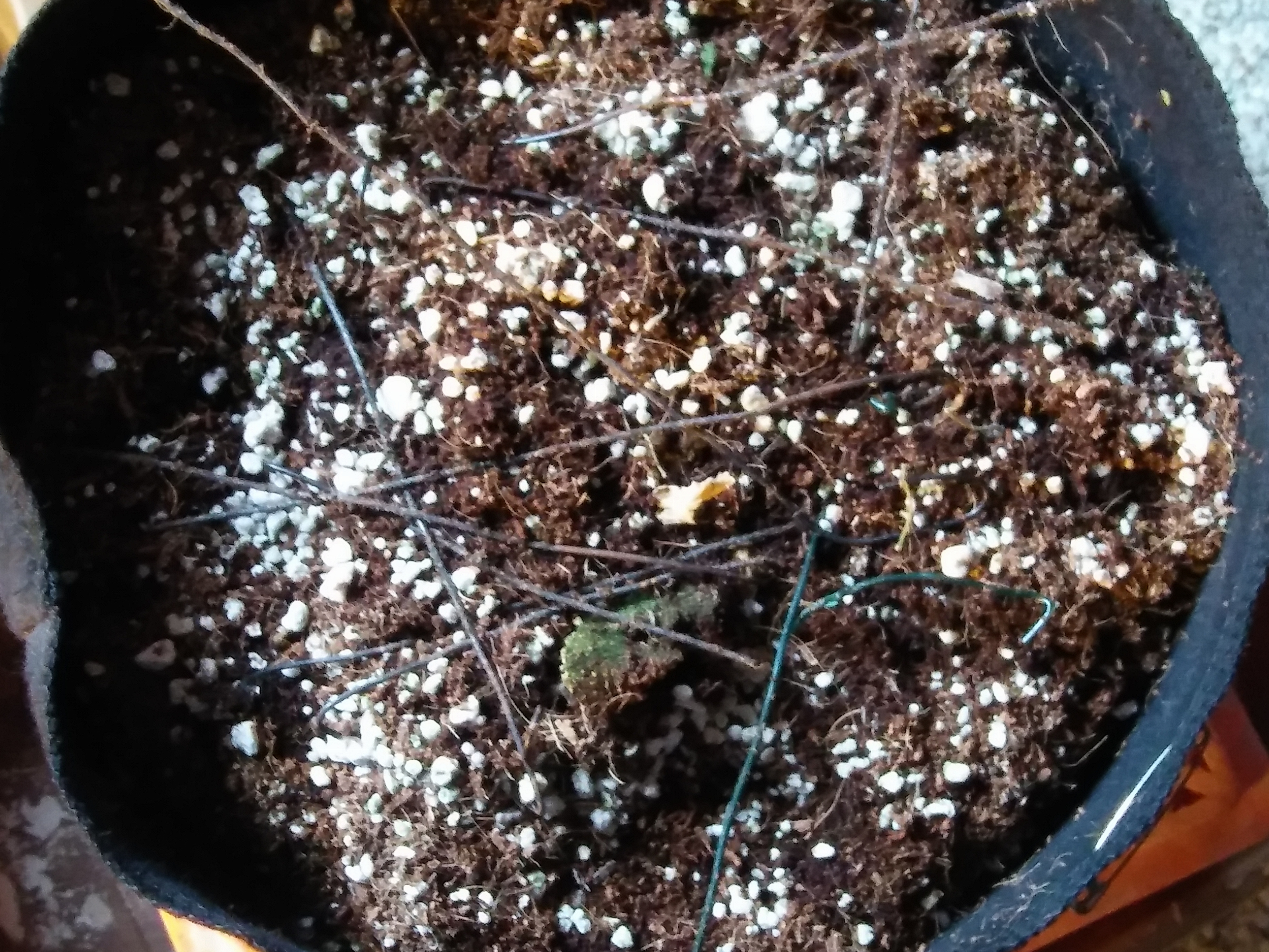 20170212_084205.jpg