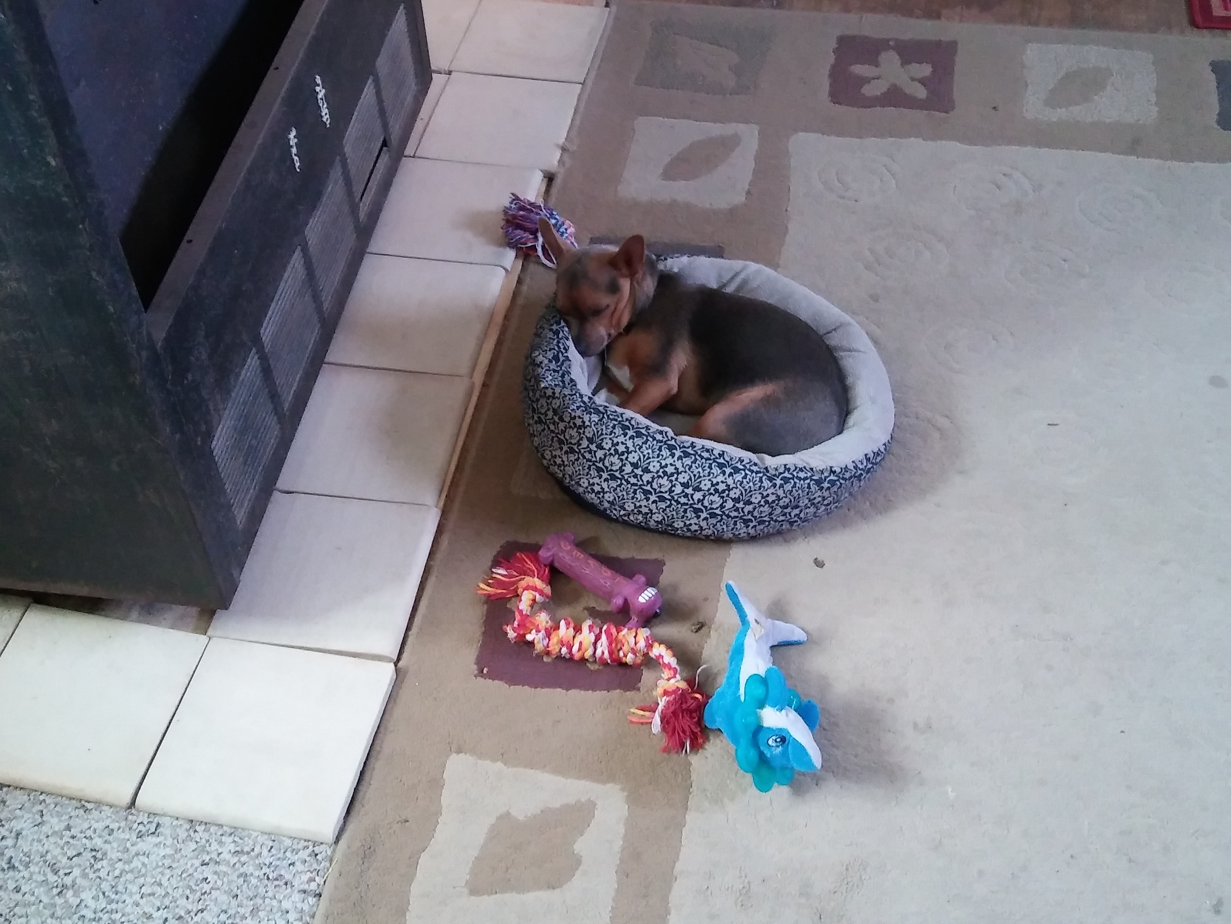 20170216_083139.jpg