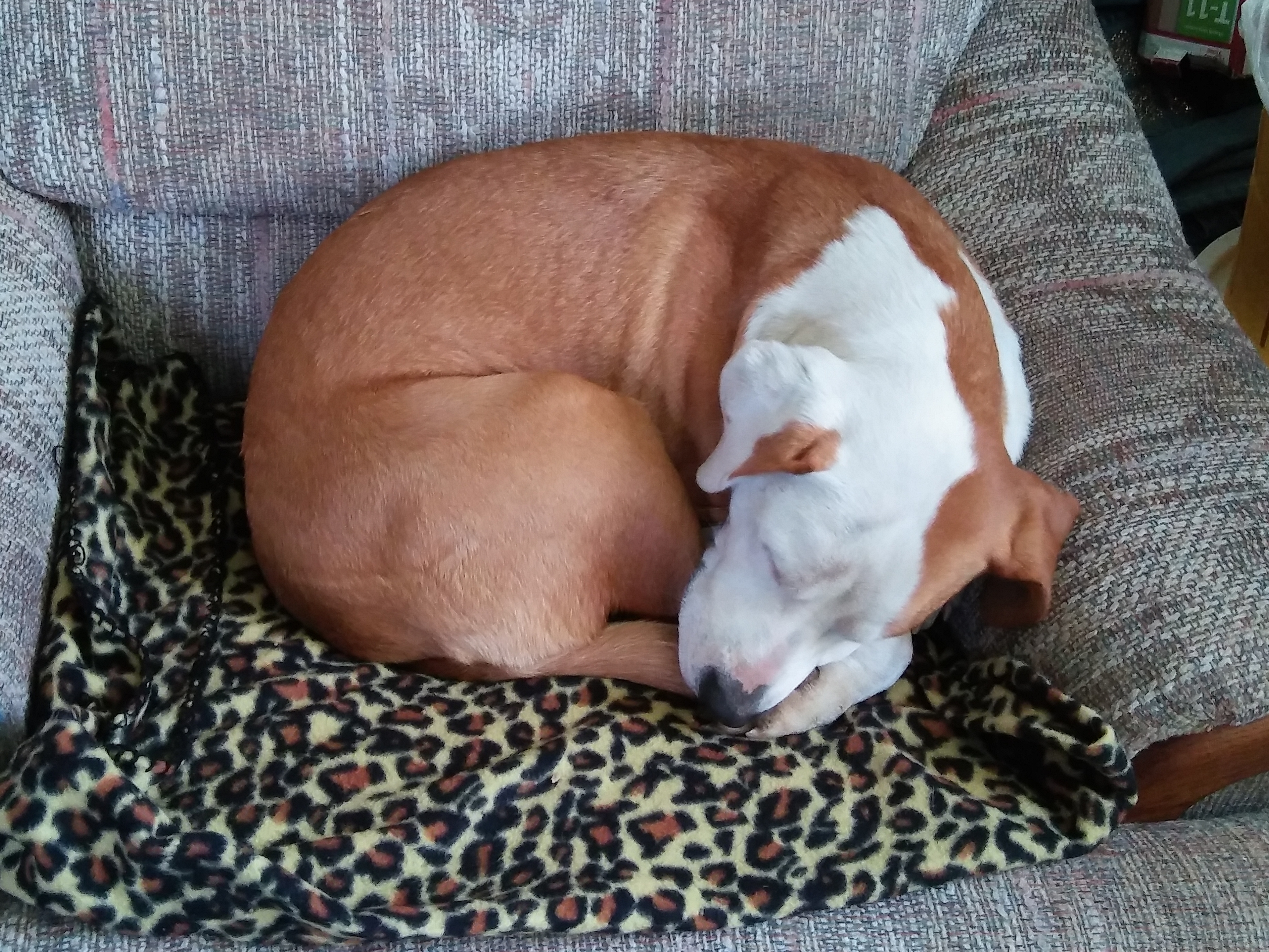 20170216_083209.jpg