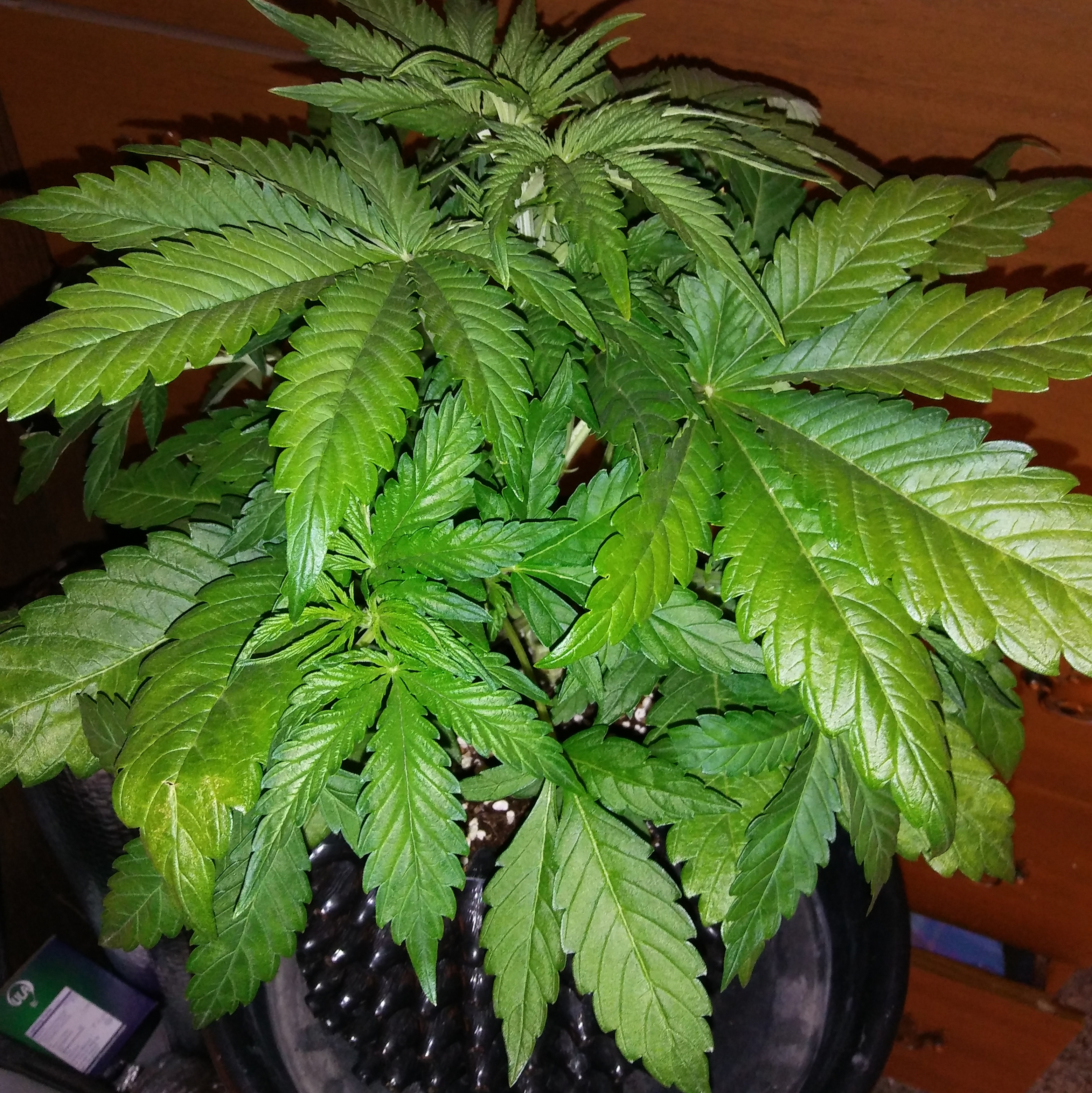 20170227_171239.jpg