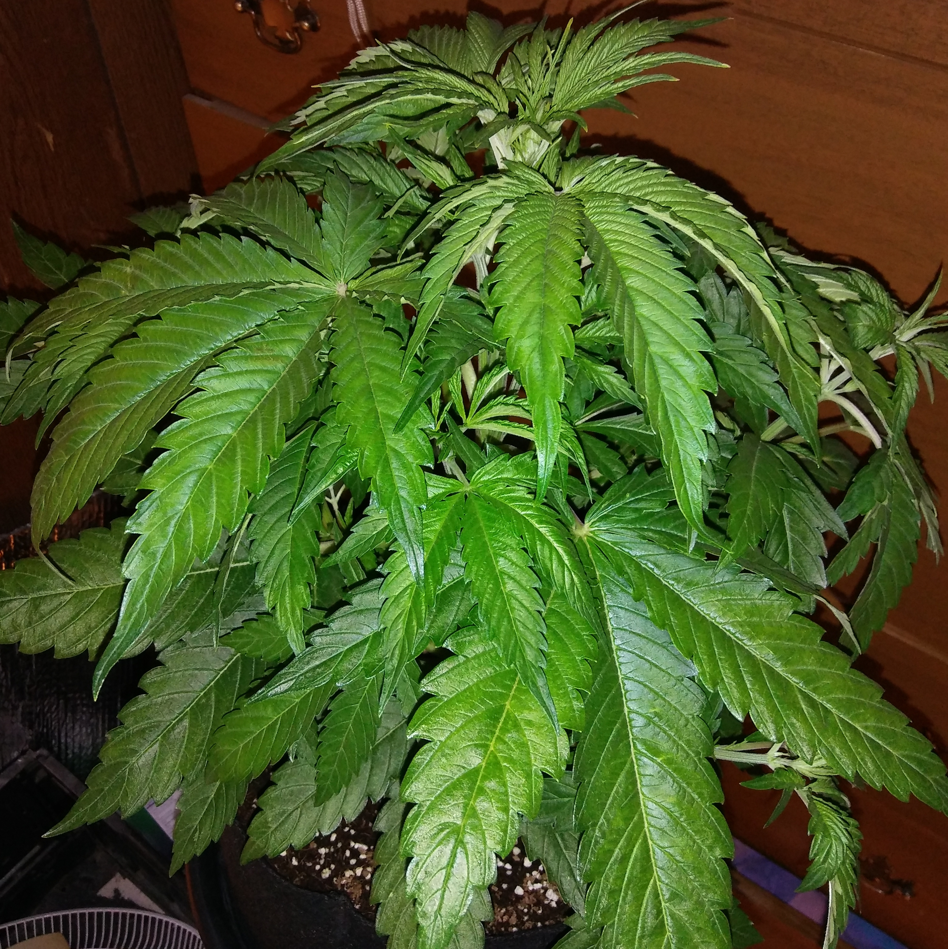 20170227_171518.jpg
