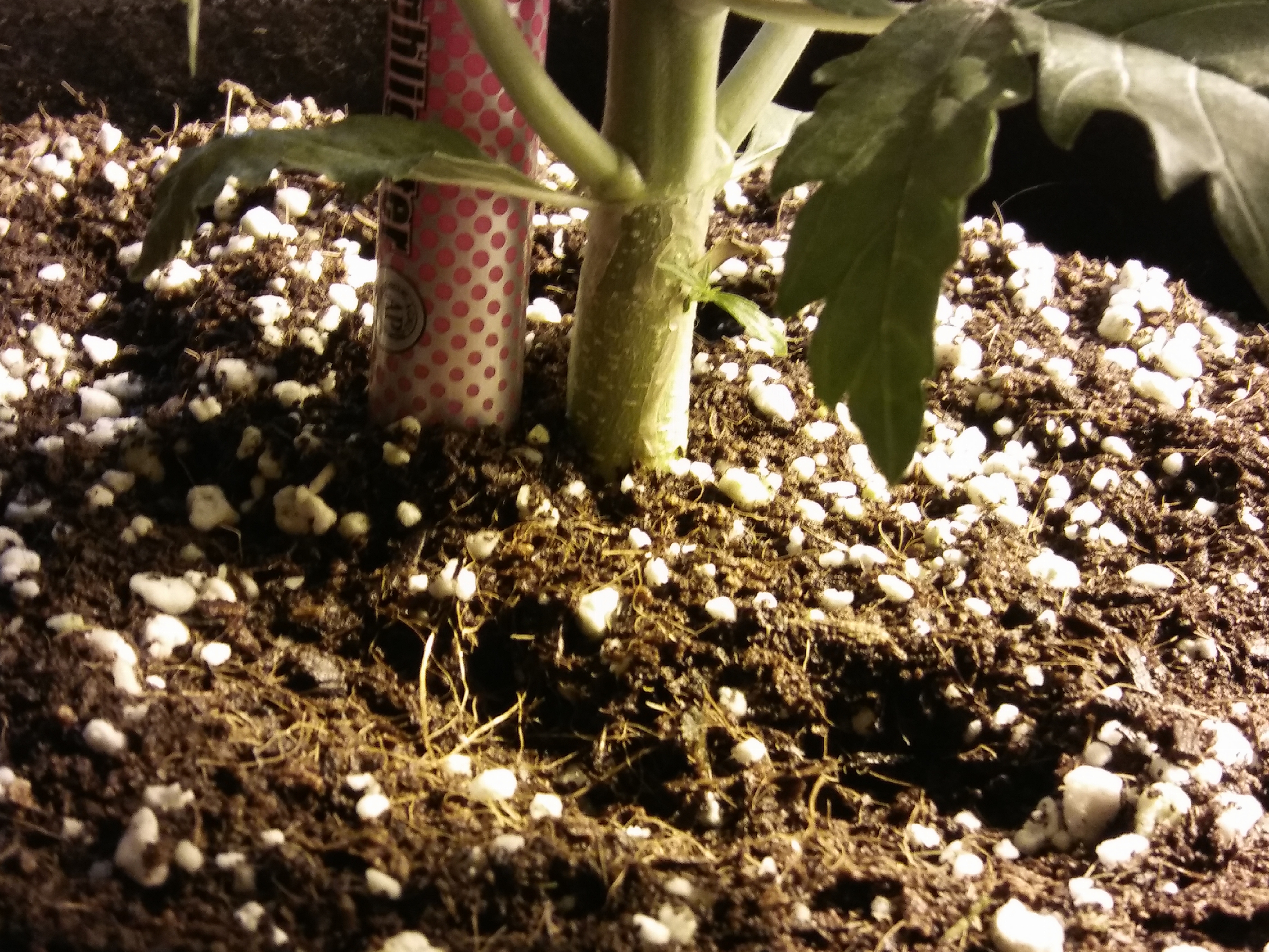 20170228_070054.jpg