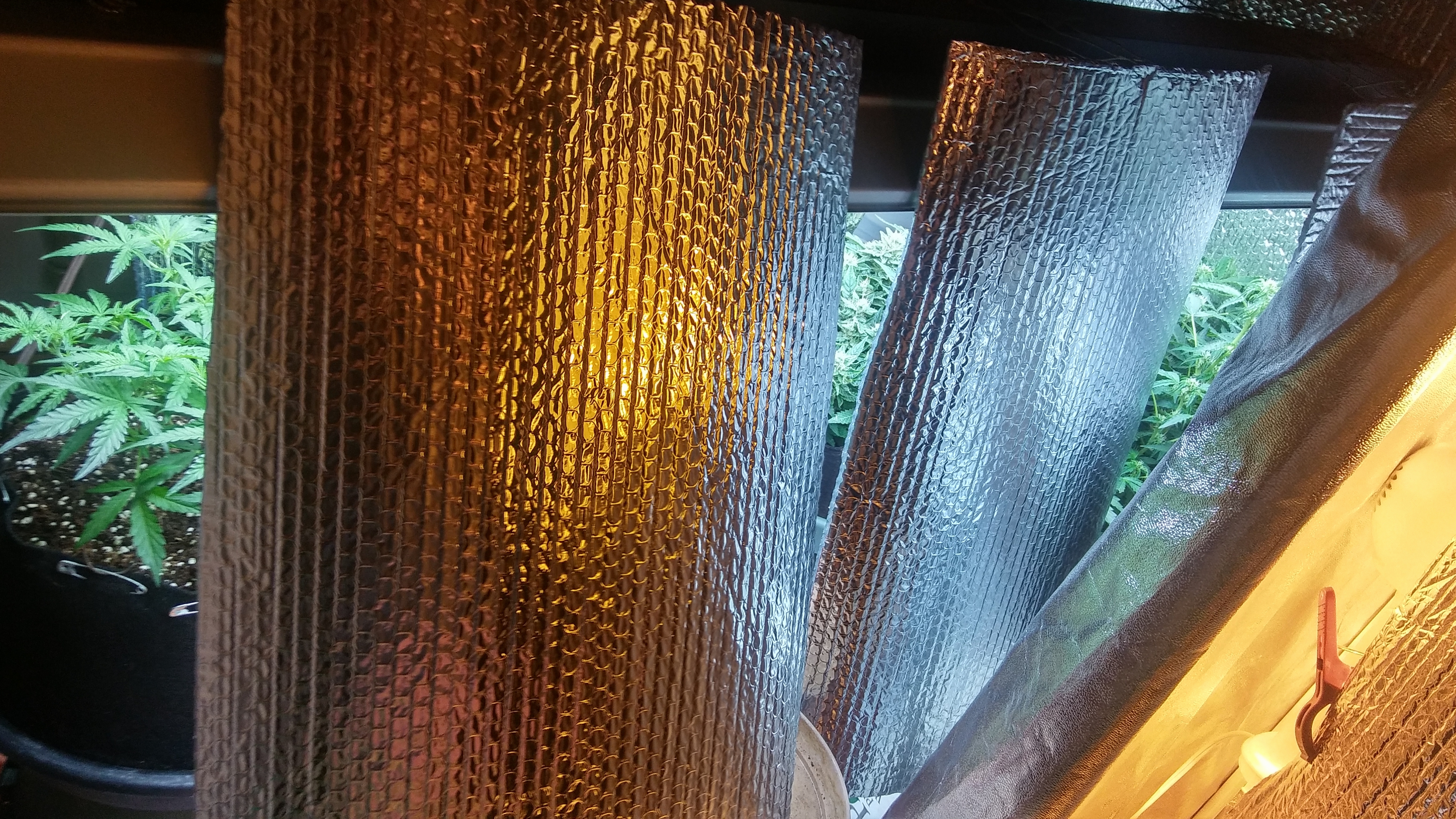 20170309_184021_HDR.jpg
