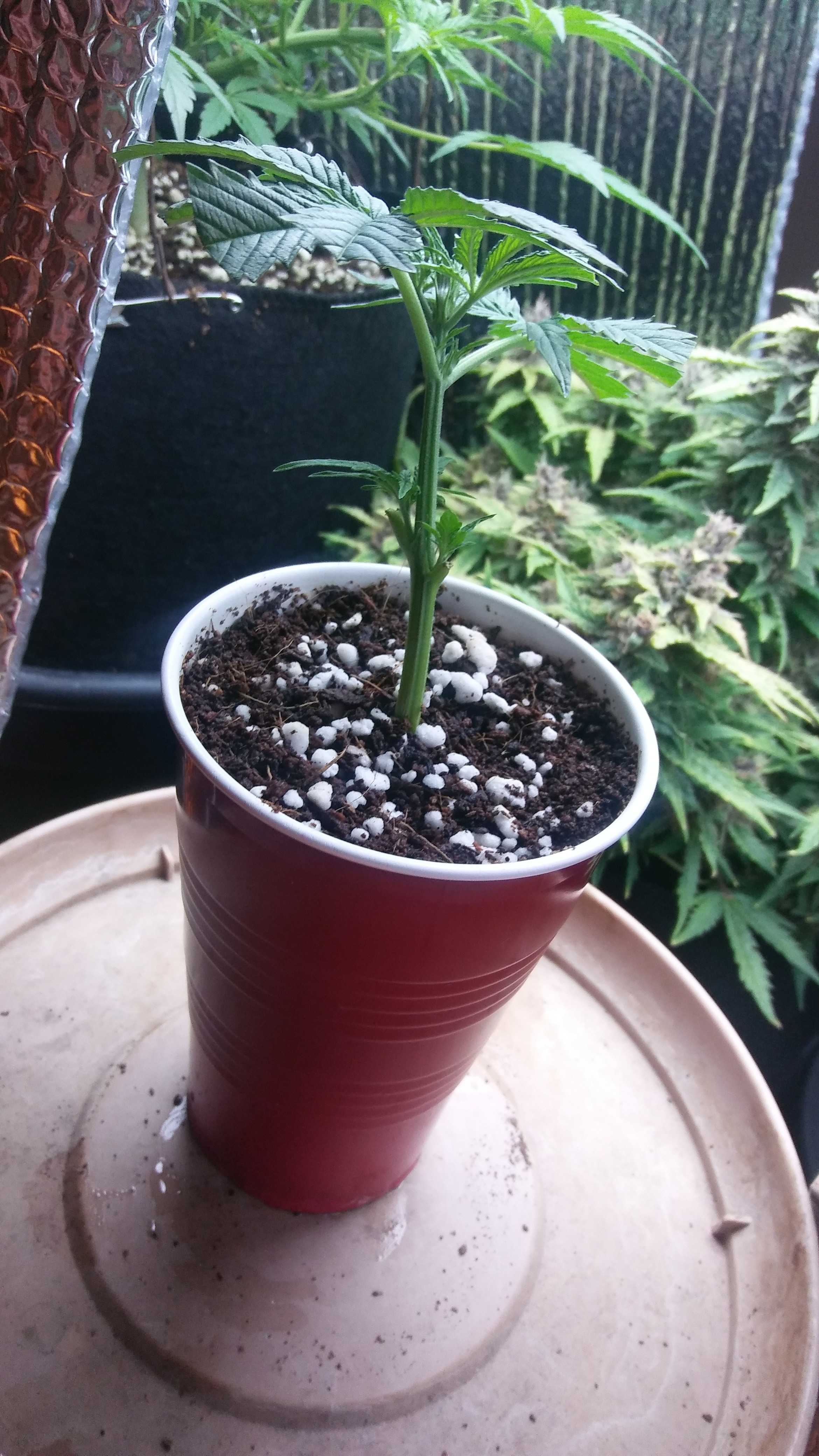 20170309_203126.jpg