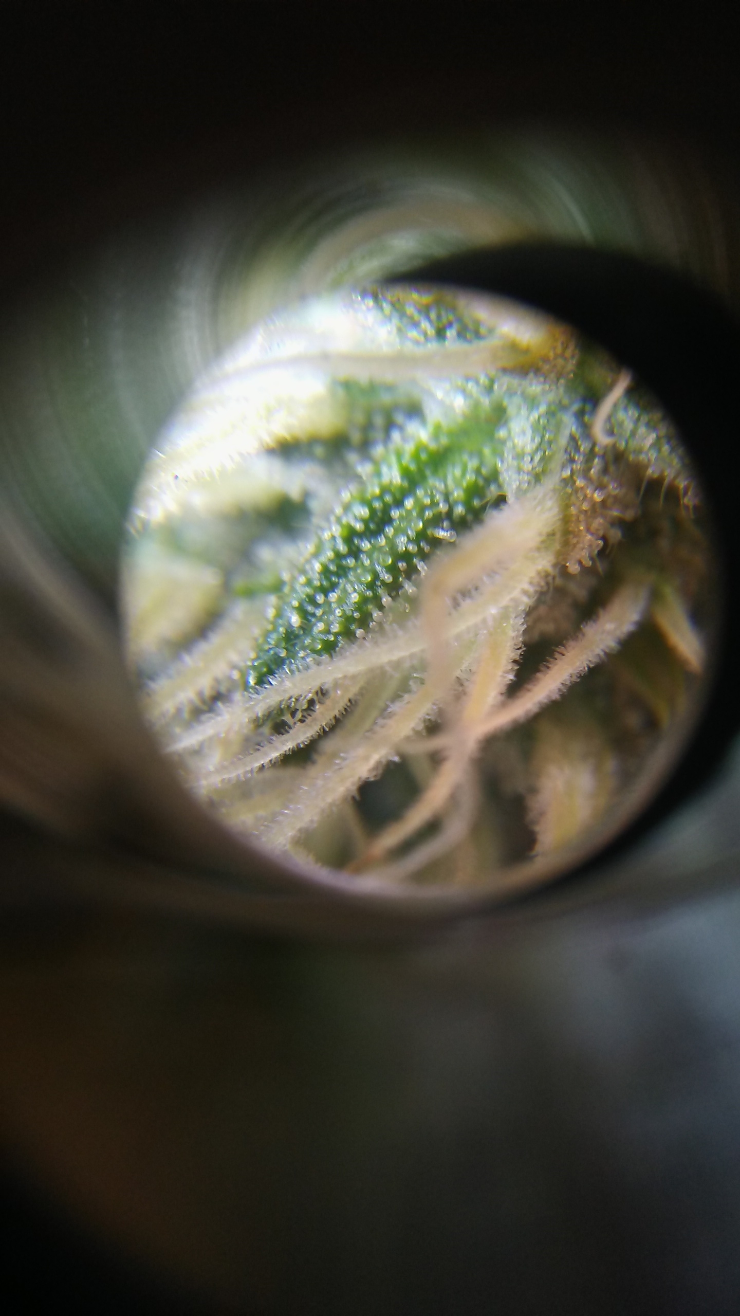 20170318_022337.jpg