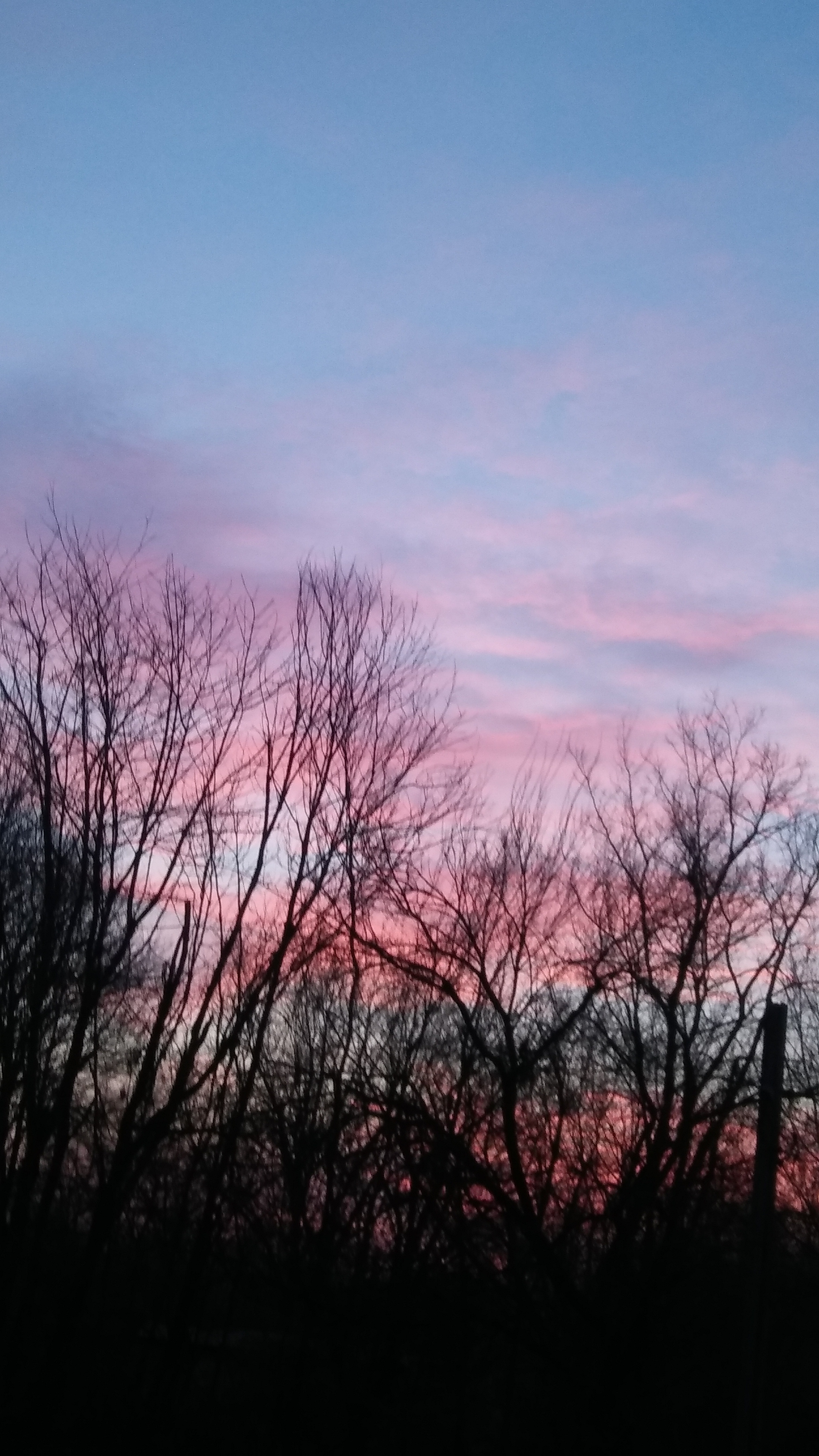 20170321_070333.jpg