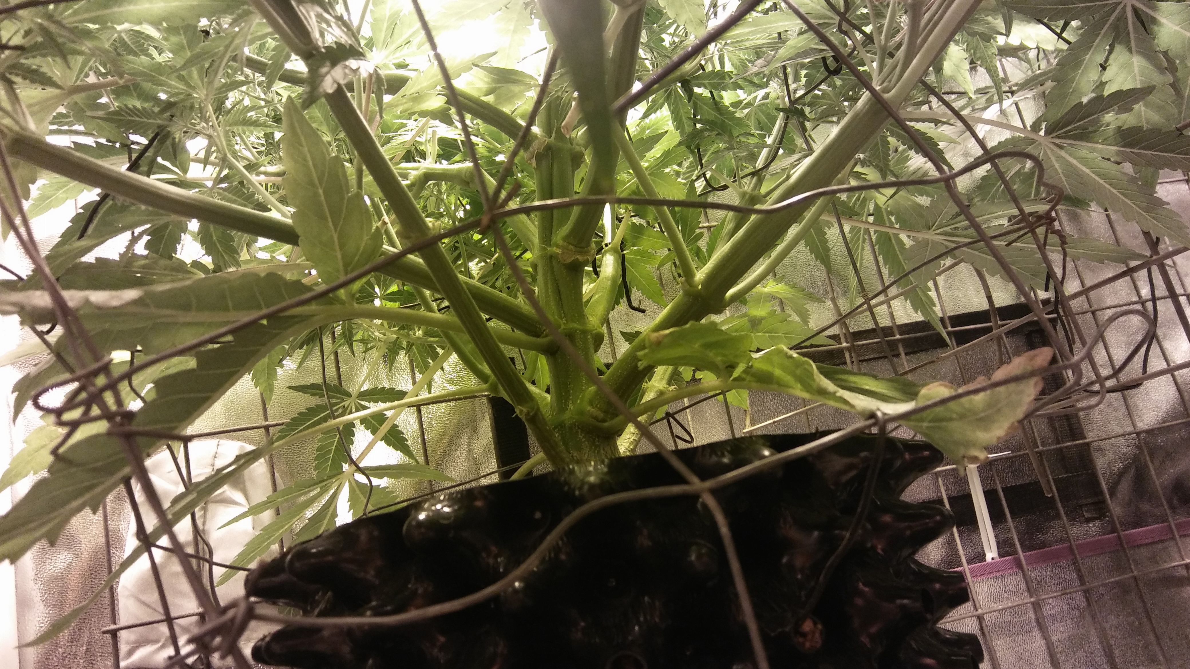 20170321_095307.jpg