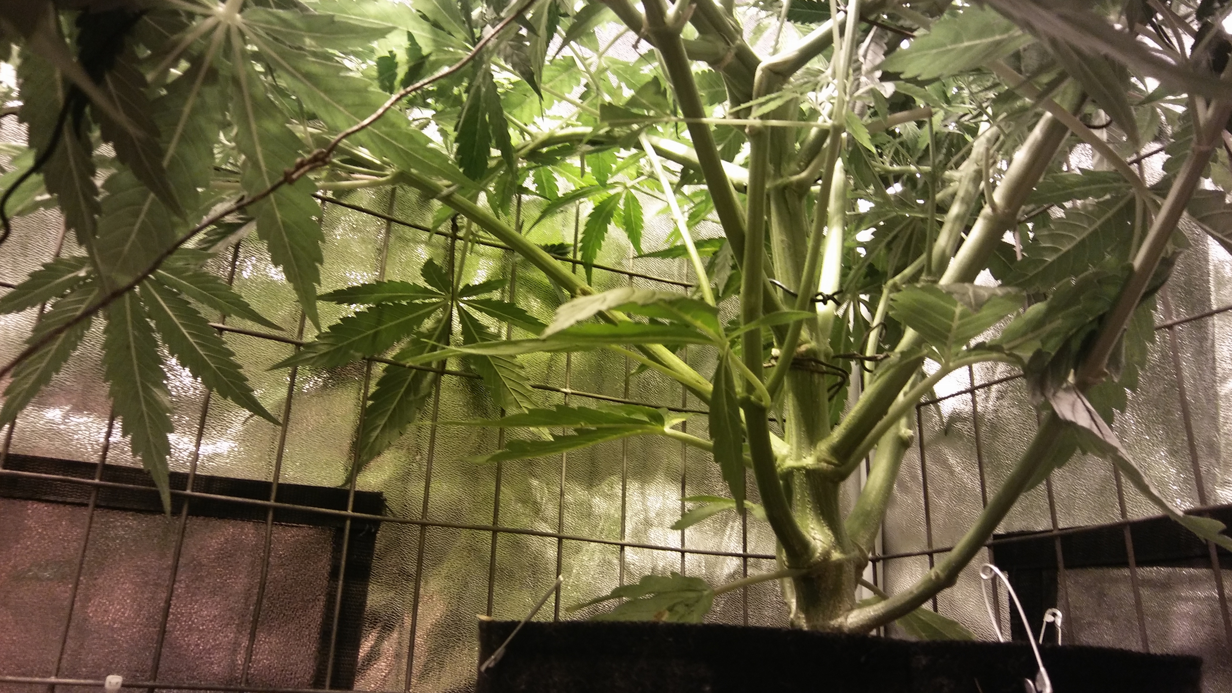 20170321_095336.jpg