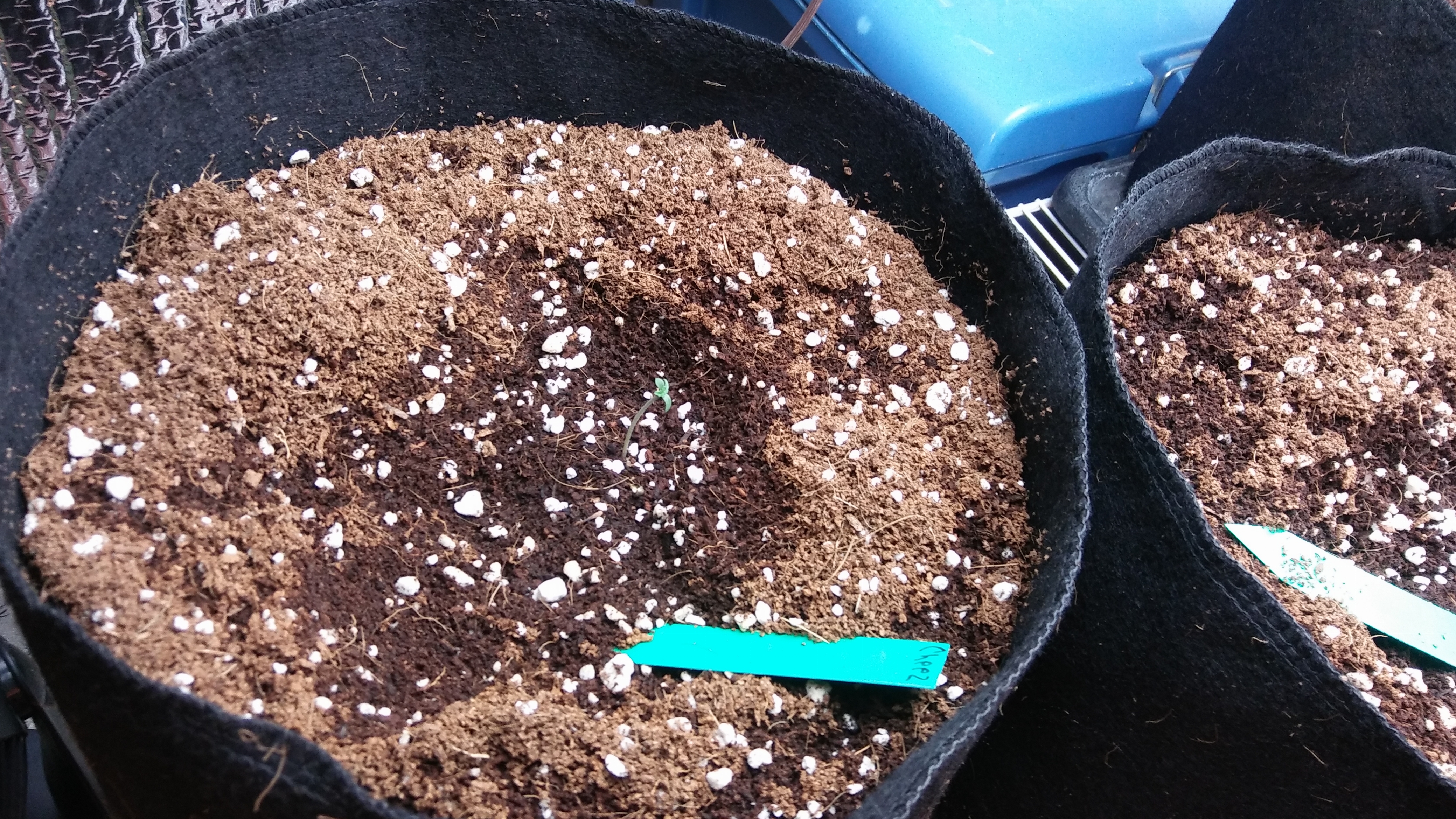 20170324_070930.jpg