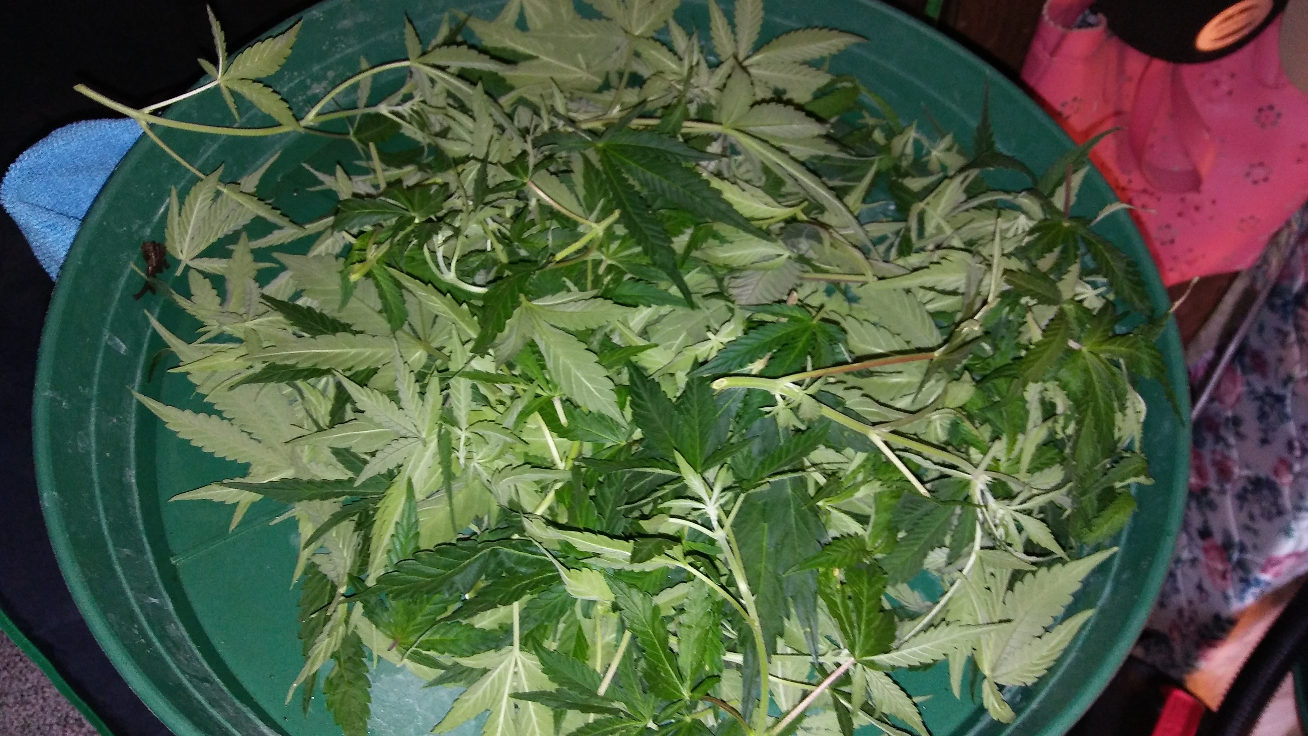20170325_103307.jpg