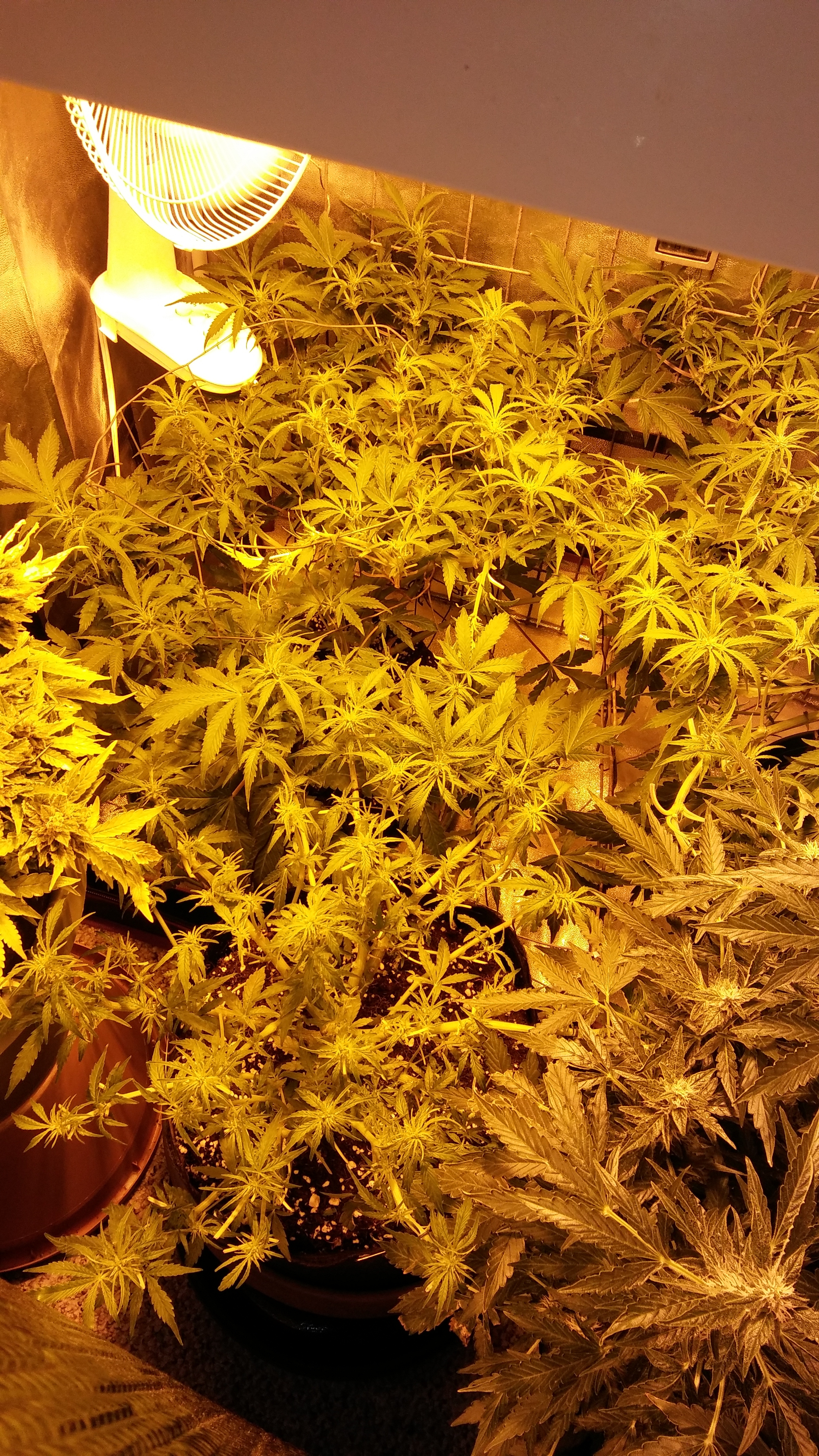 20170325_103329.jpg