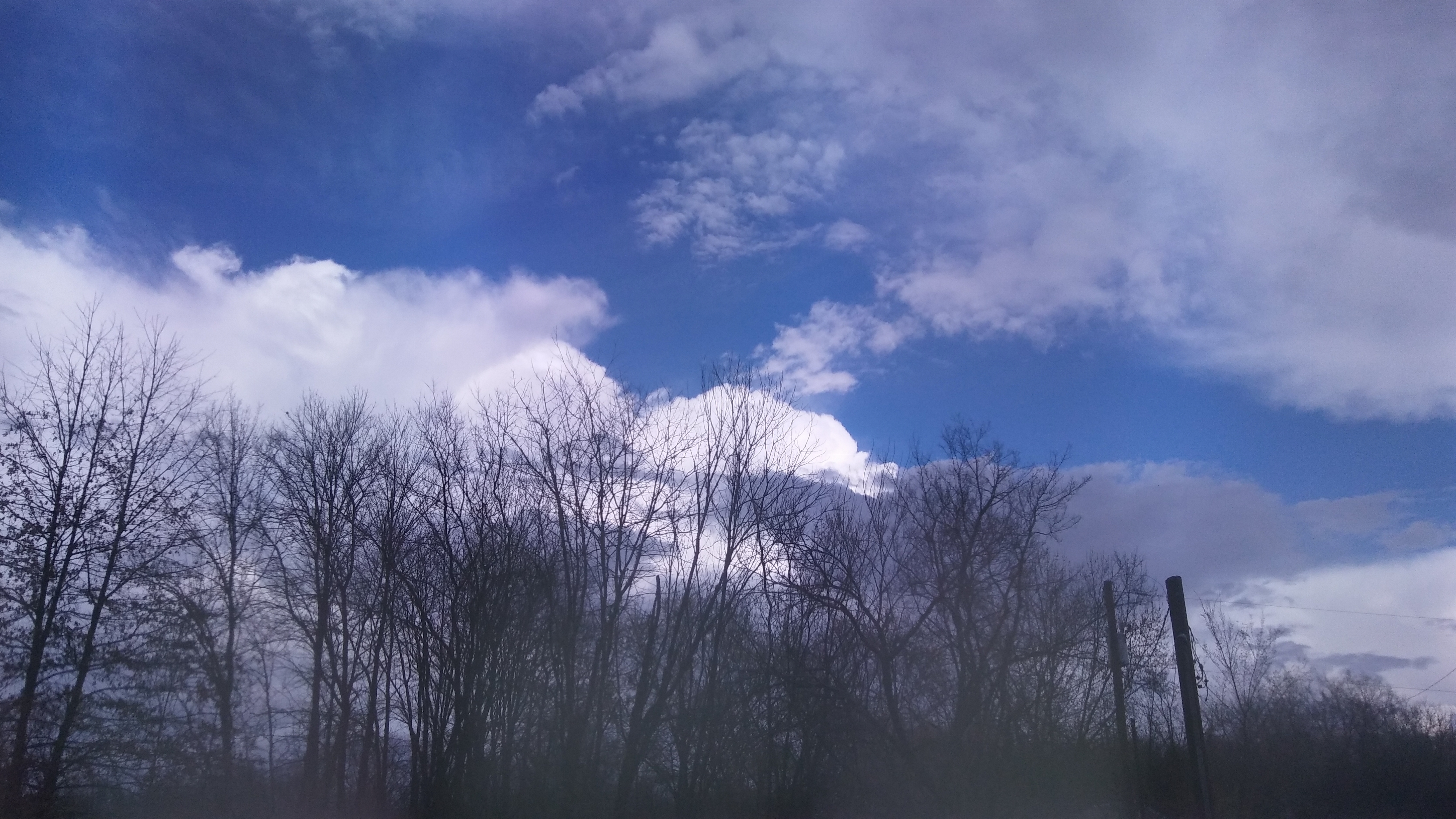 20170325_171534.jpg