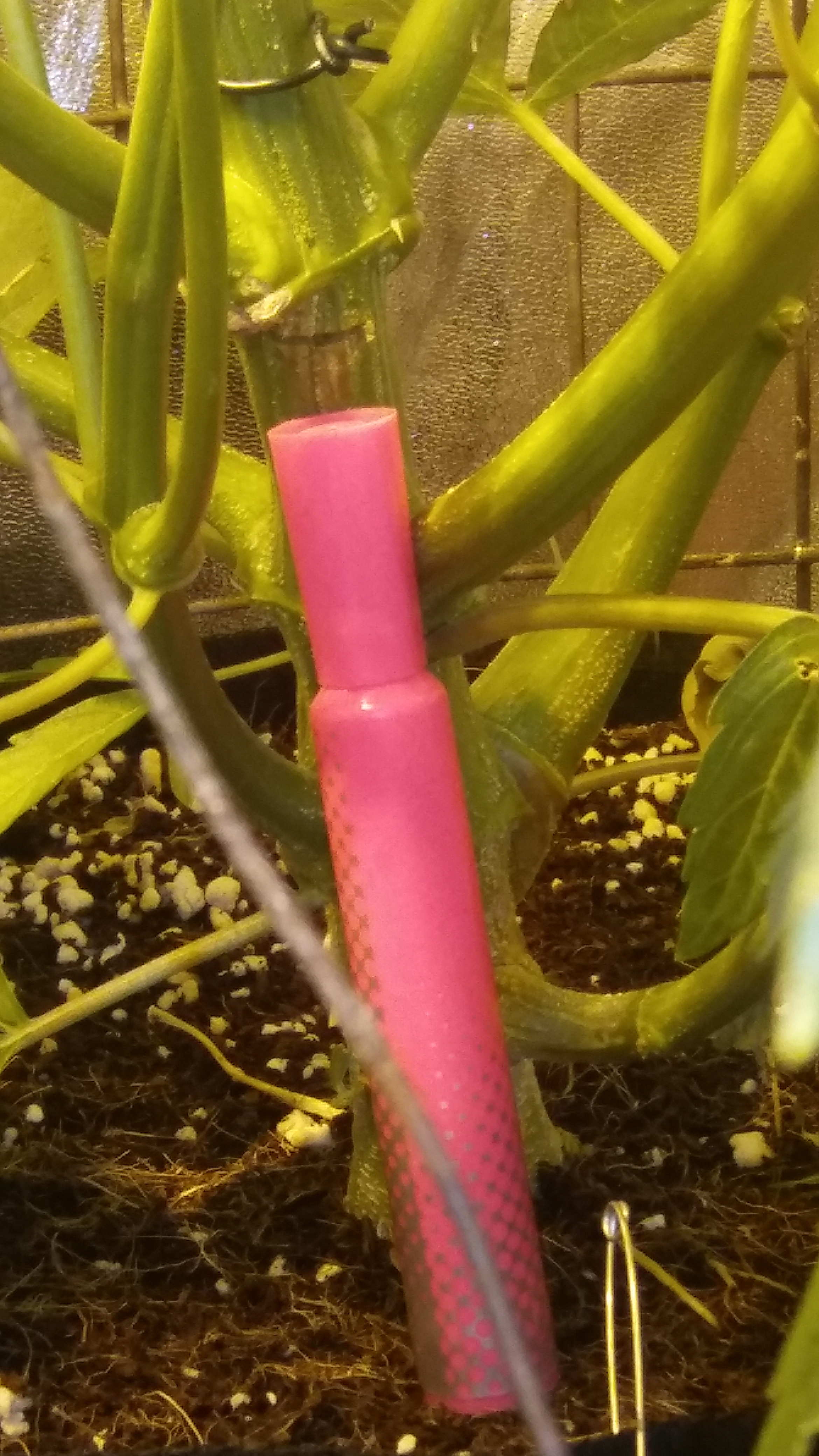 20170326_065444.jpg