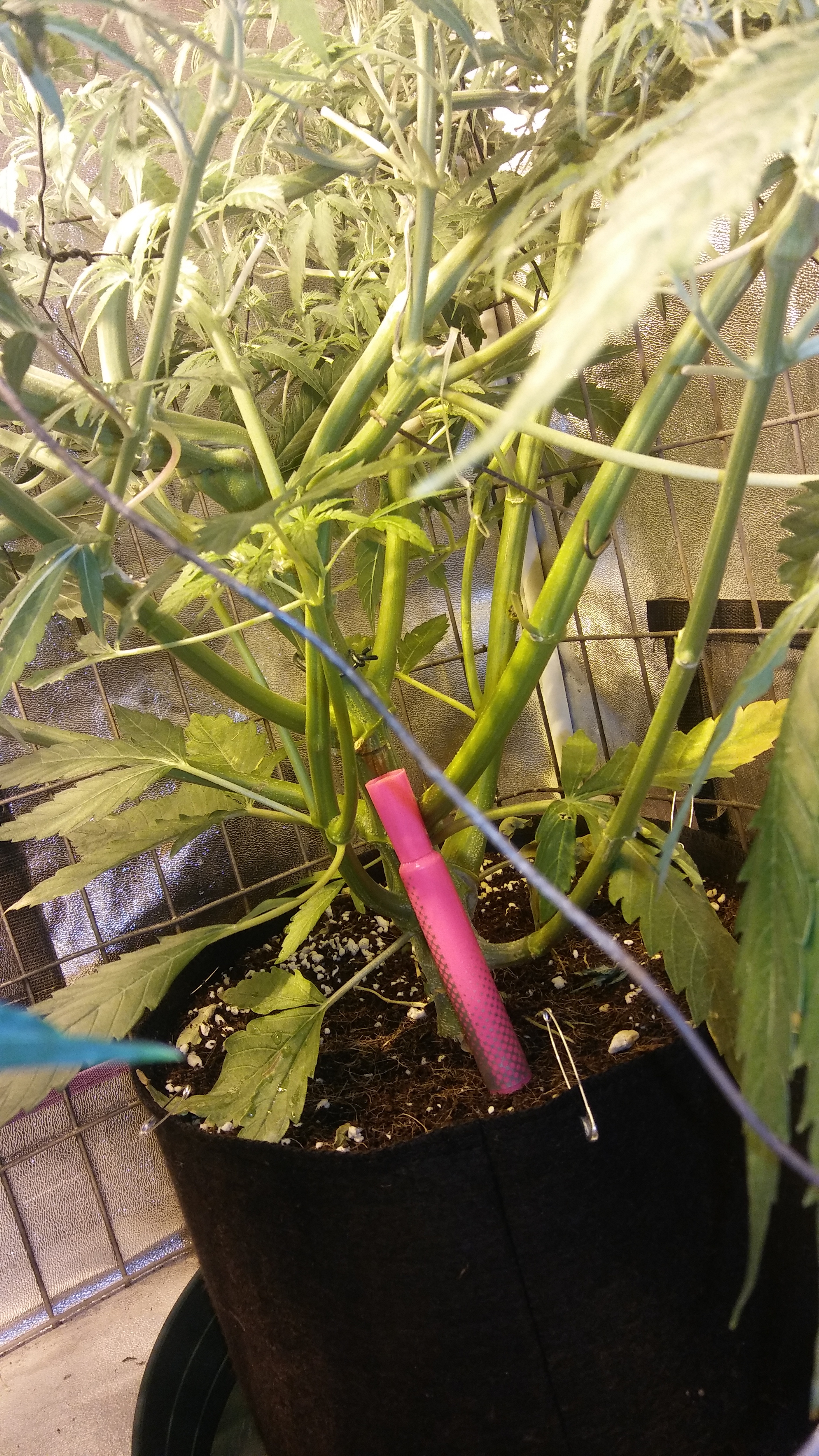 20170326_065517.jpg